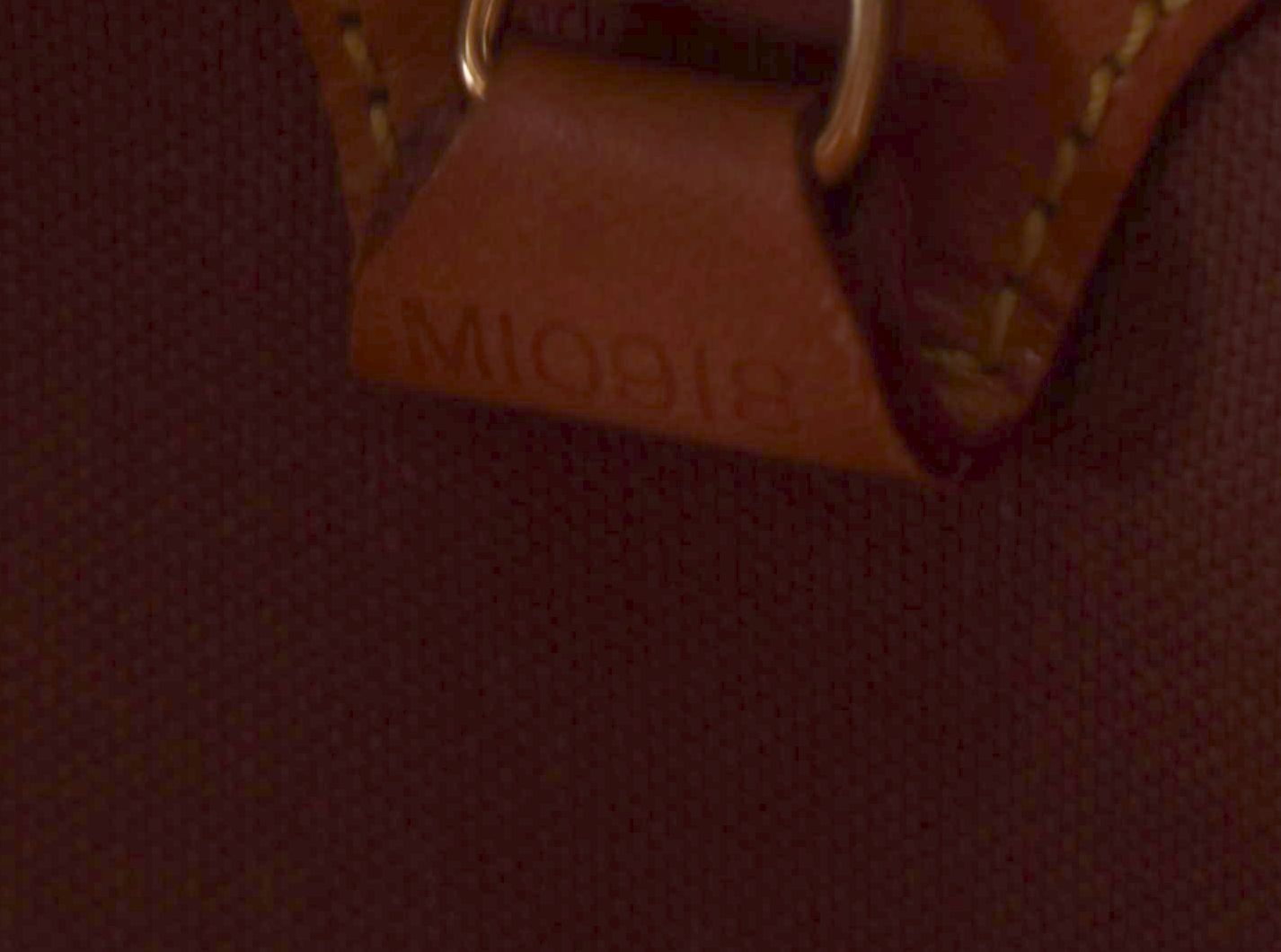 Louis Vuitton Ellipse MM in Monogram Canvas and Vachetta Leather