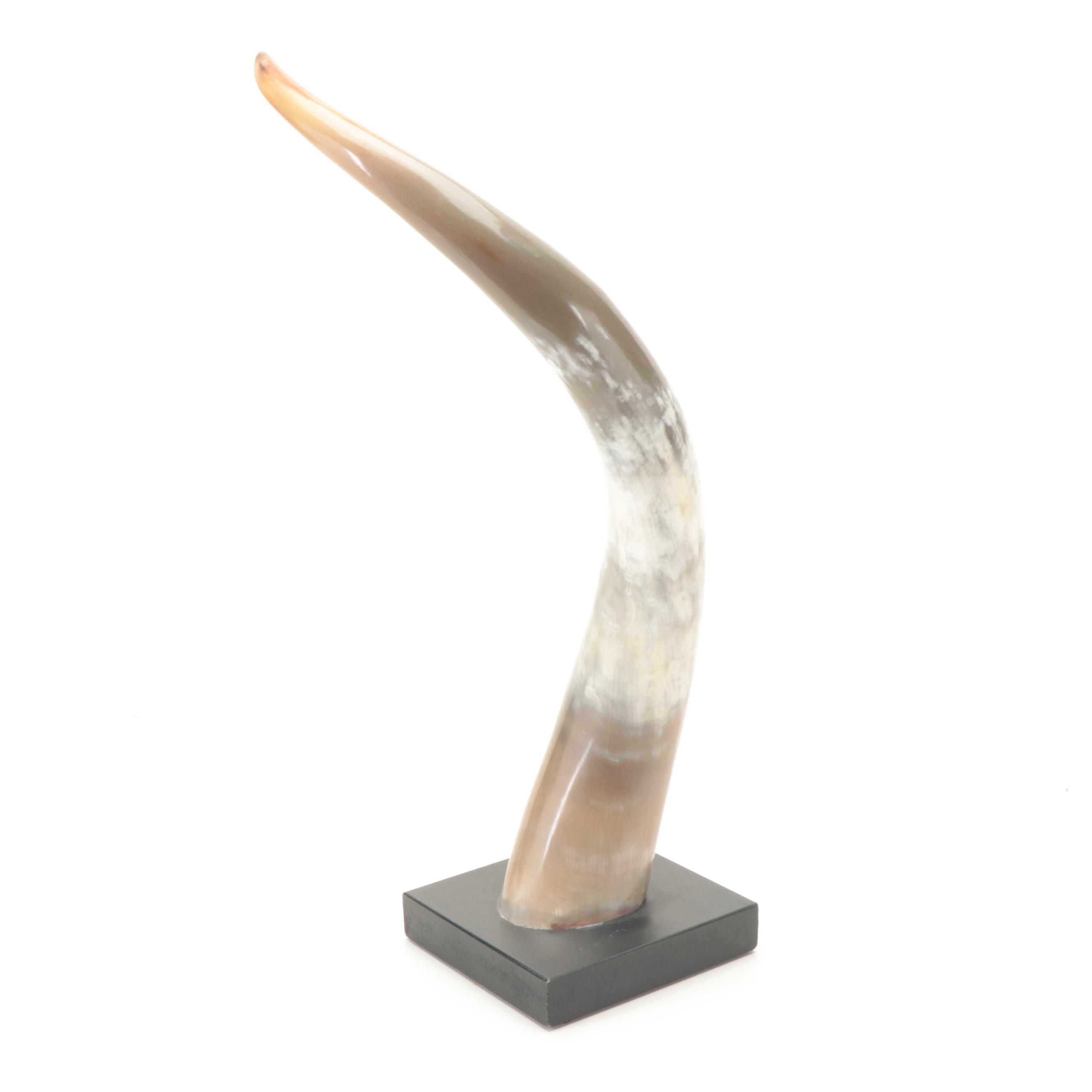 Restoration Hardware Faux Turtle Shell on Stand with Faux Horn Decor