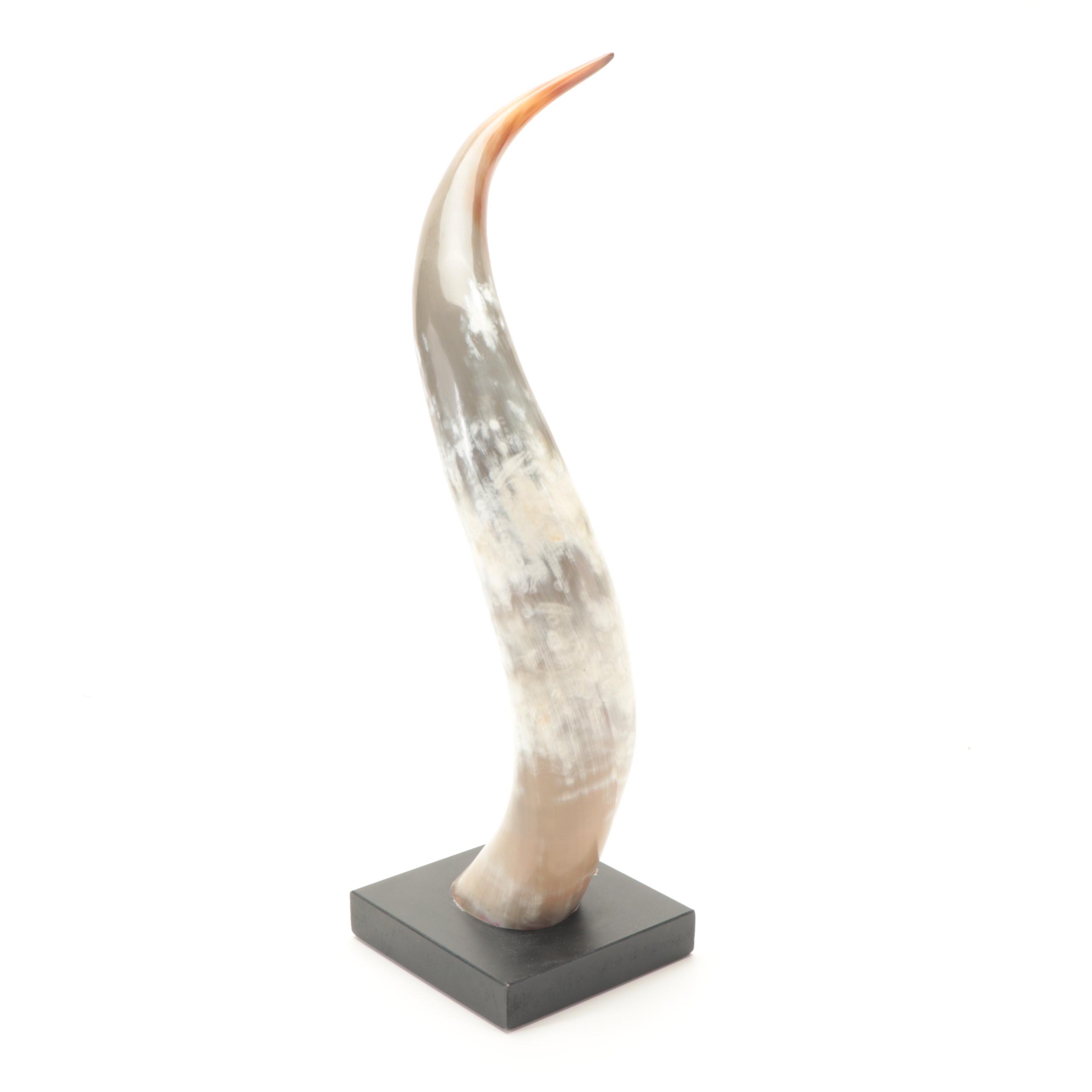 Restoration Hardware Faux Turtle Shell on Stand with Faux Horn Decor