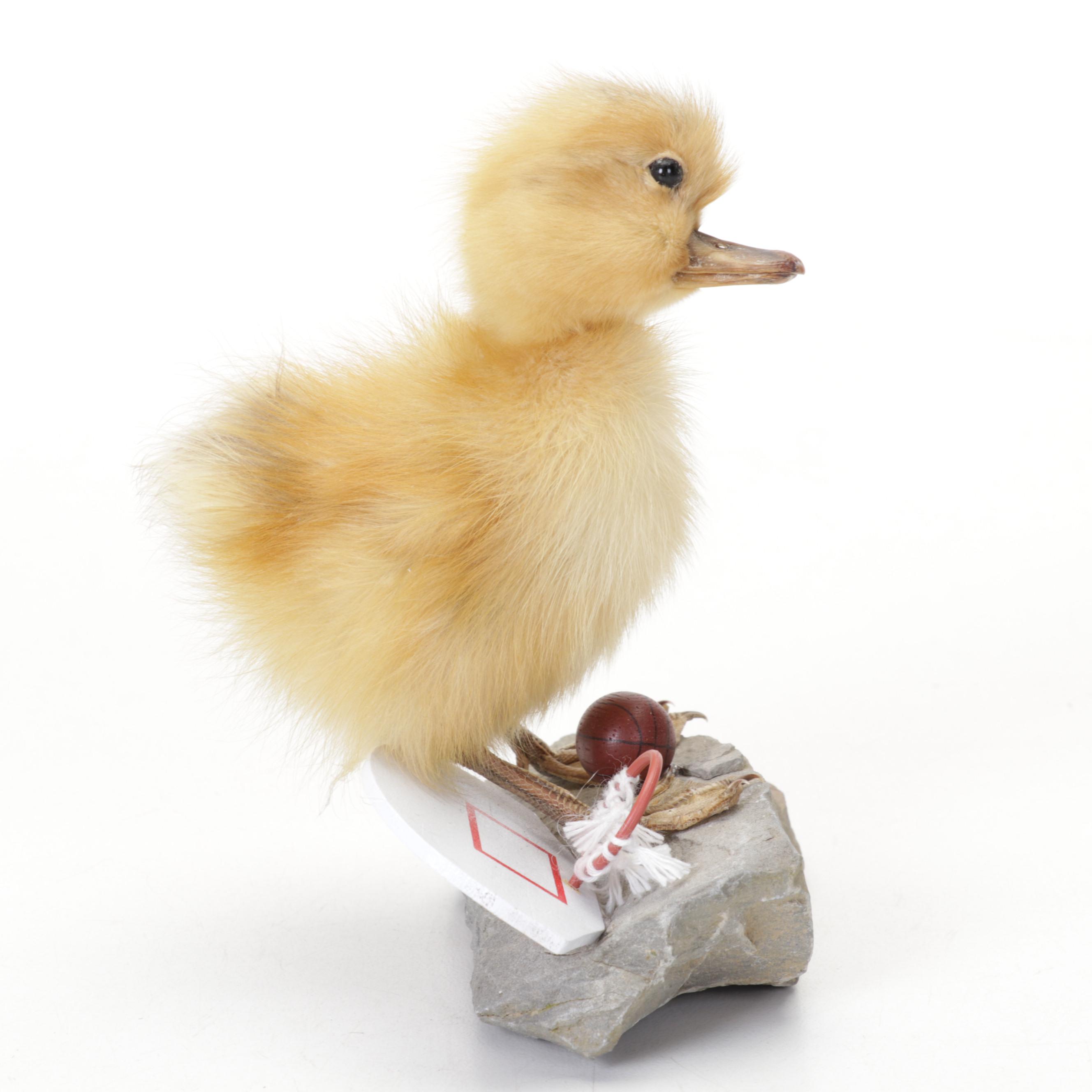 Taxidermy Duckling with Basketball Equipment on Stone Base