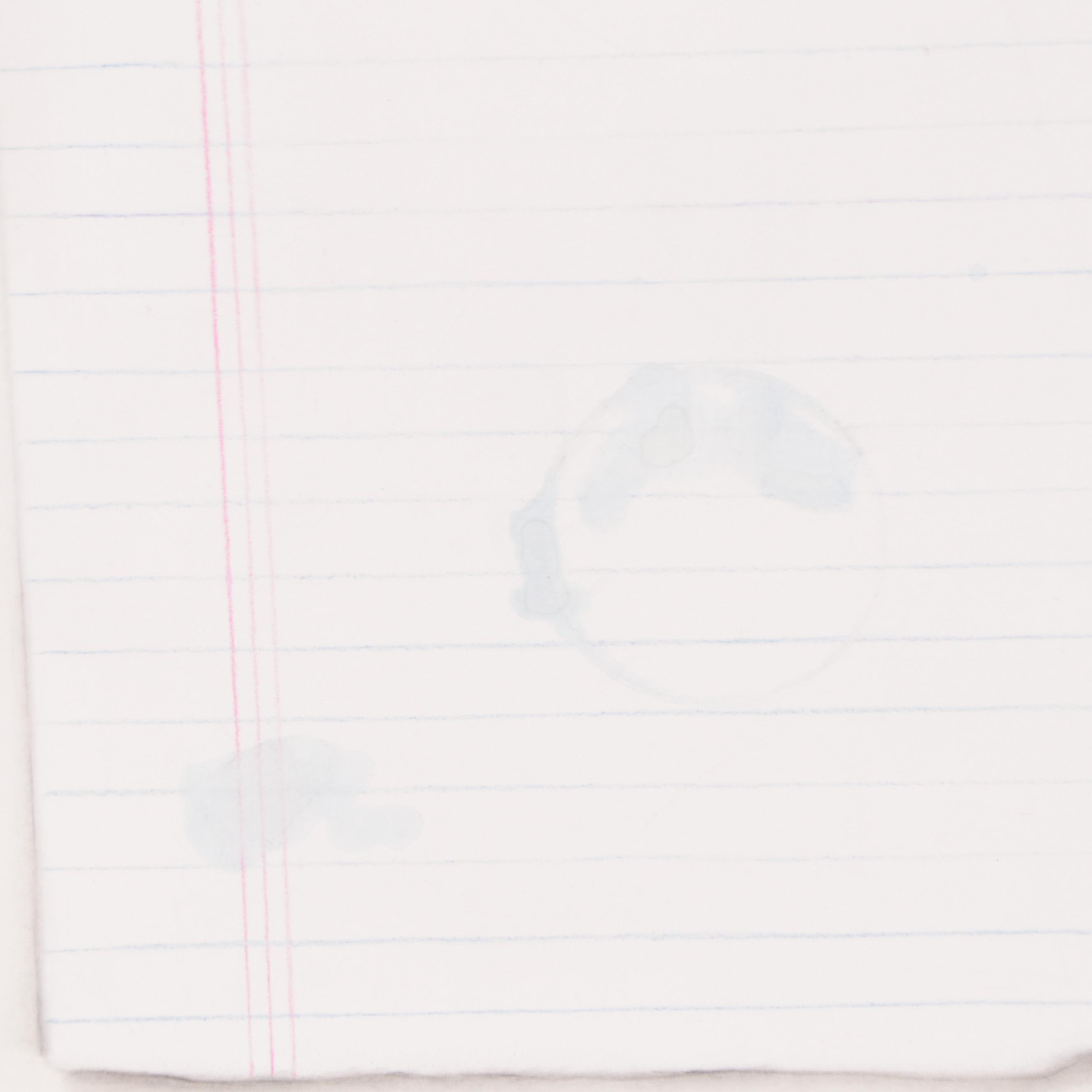 Cynthia Gregory Mixed Media Drawing of Notepad Paper, 2012