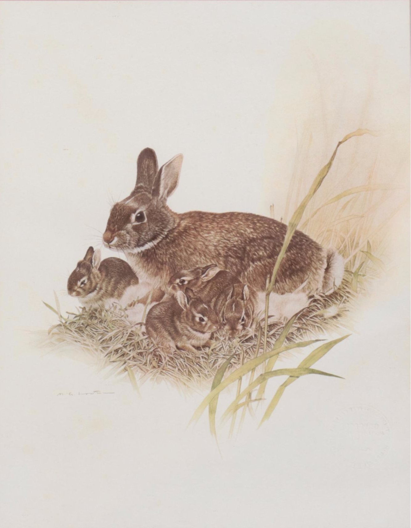 Offset Lithographs of Rabbit and Bunnies