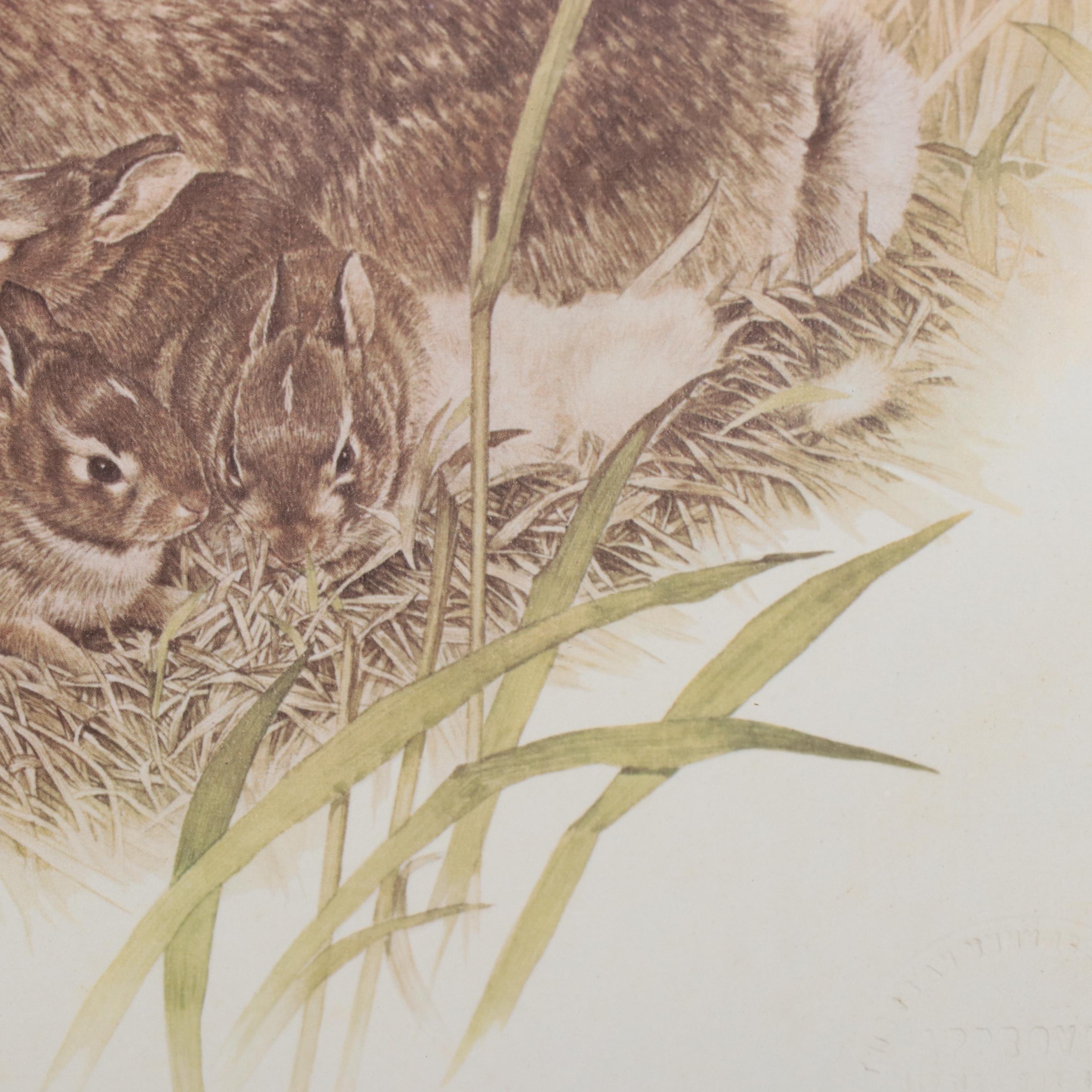 Offset Lithographs of Rabbit and Bunnies