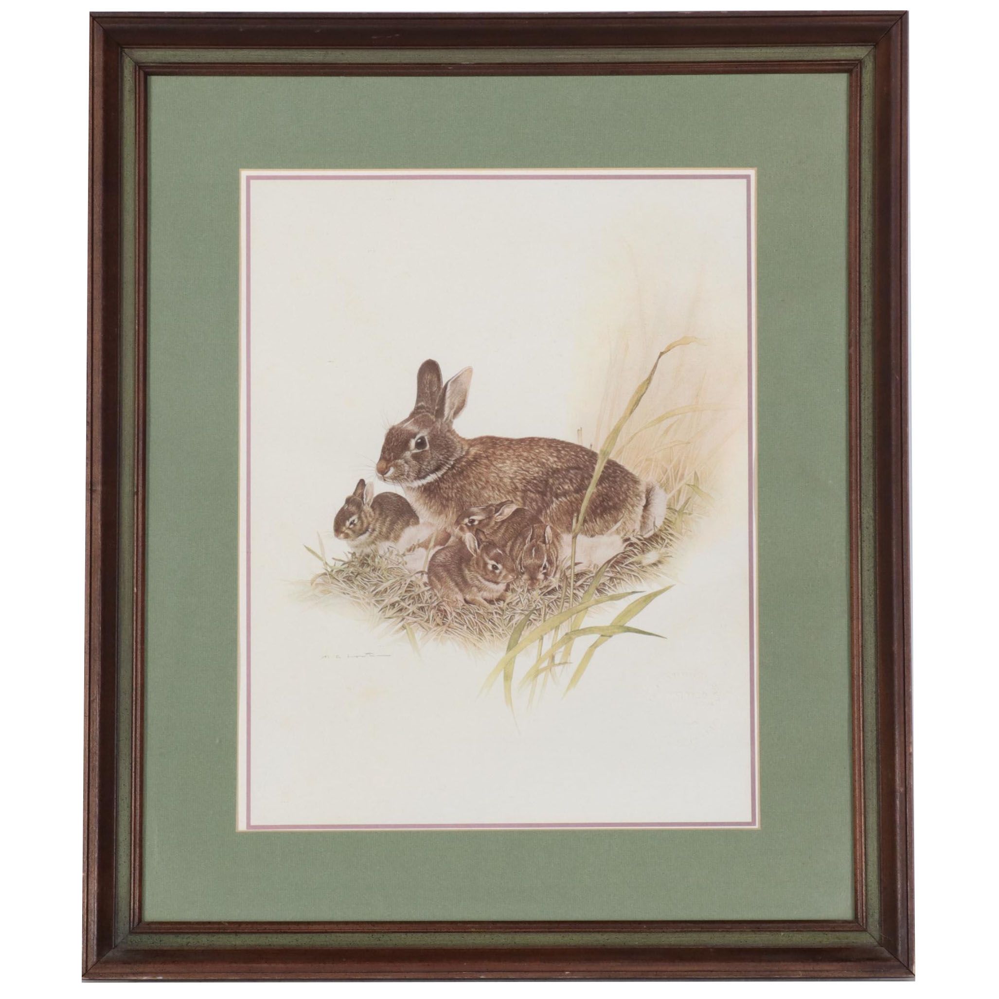 Offset Lithographs of Rabbit and Bunnies