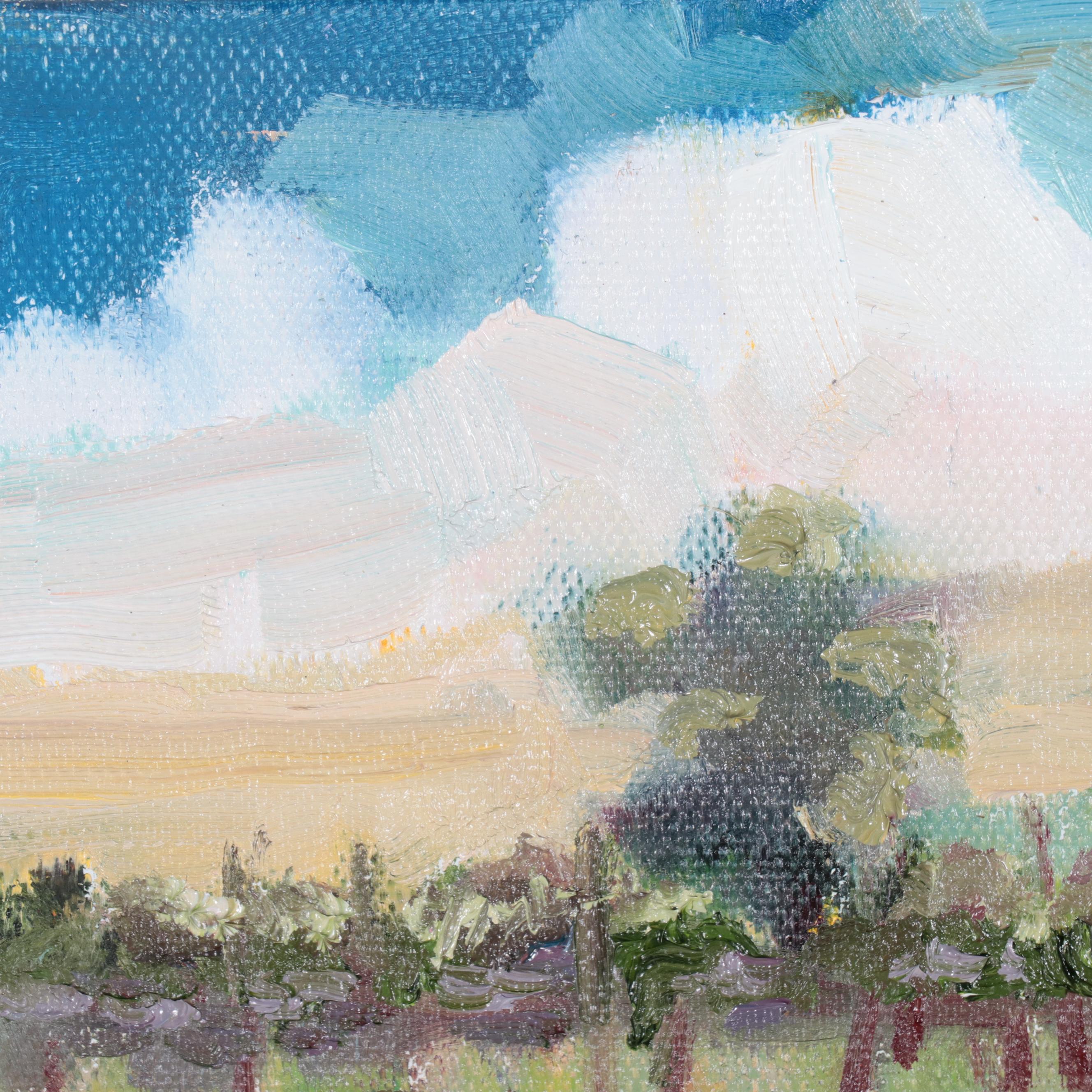 Sally Rosenbaum Landscape Oil Painting, 21st Century