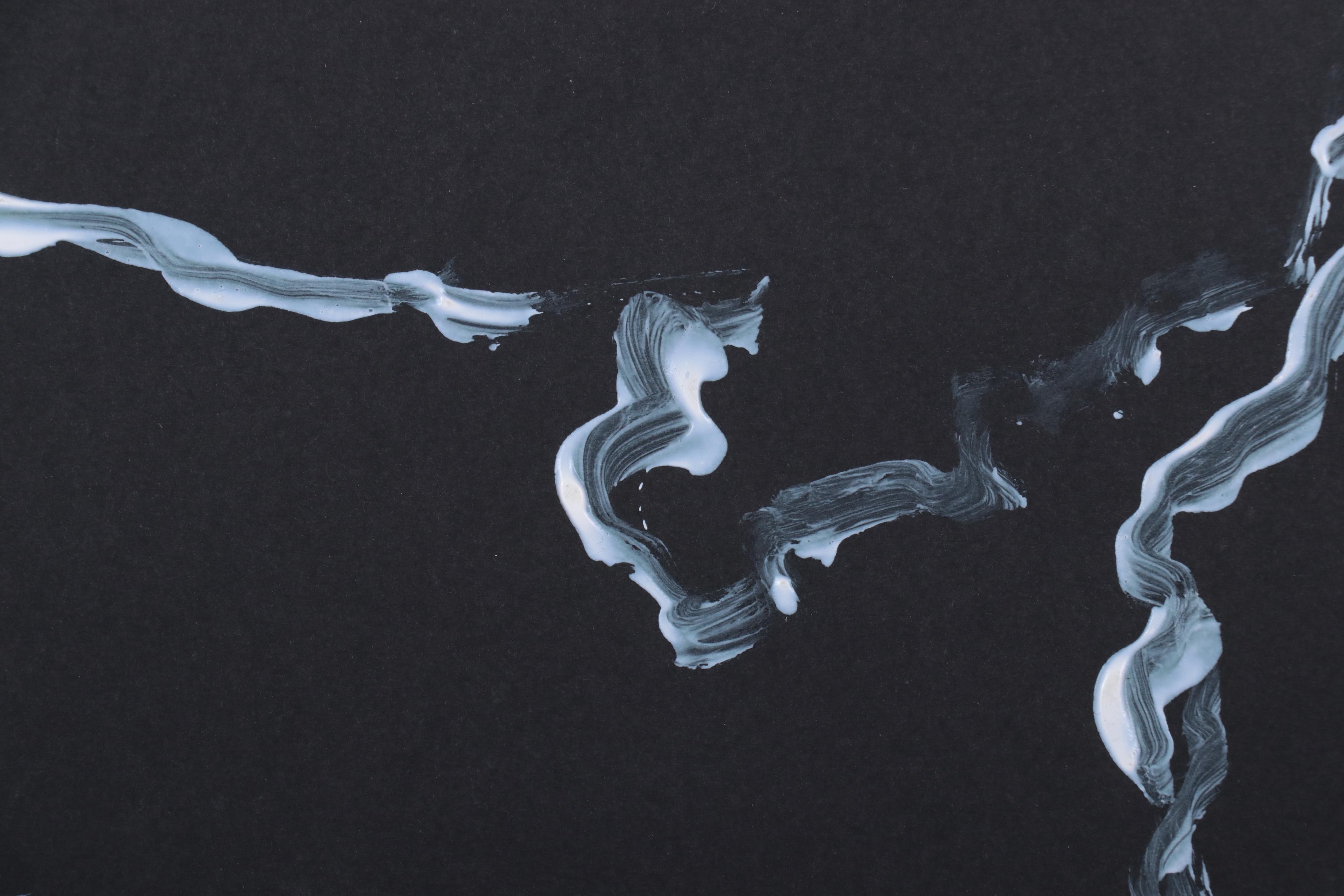 Philip the Transplant Acrylic Paintings "North America," 2019