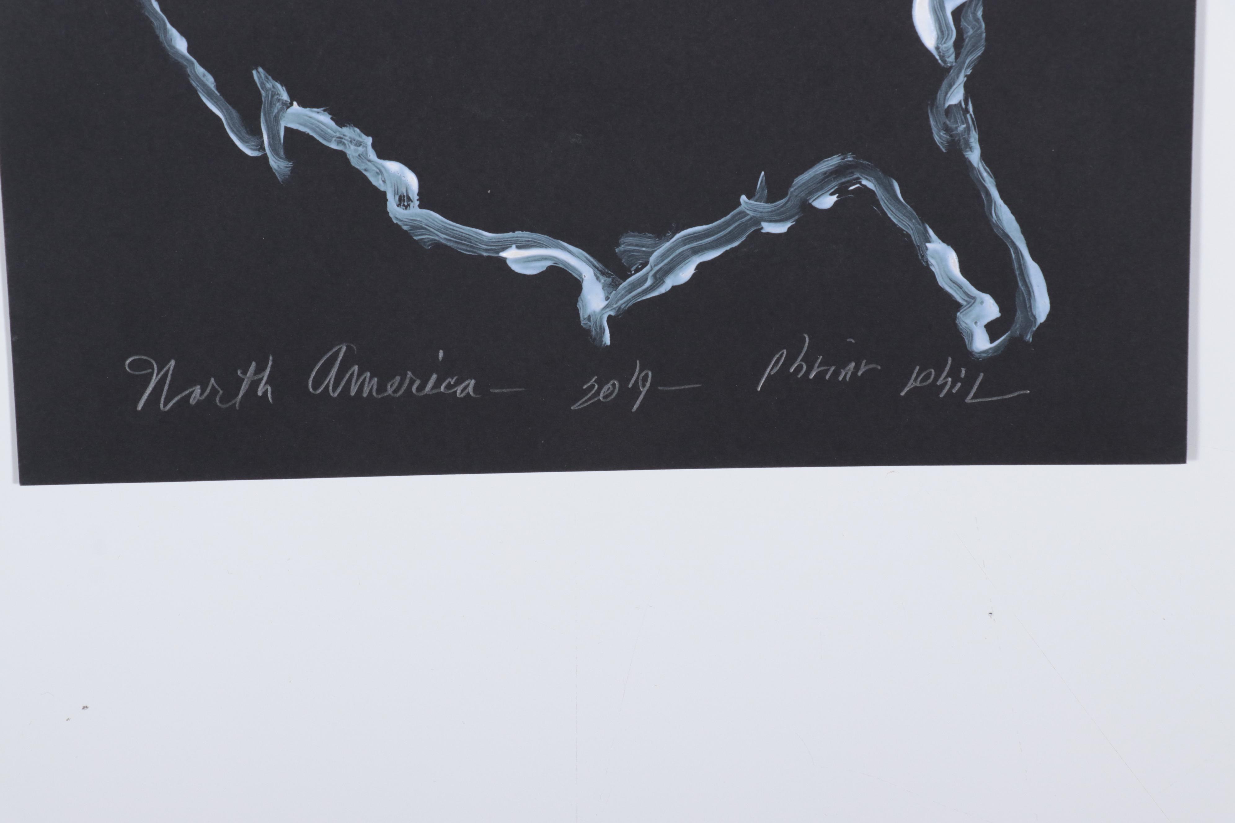 Philip the Transplant Acrylic Paintings "North America," 2019