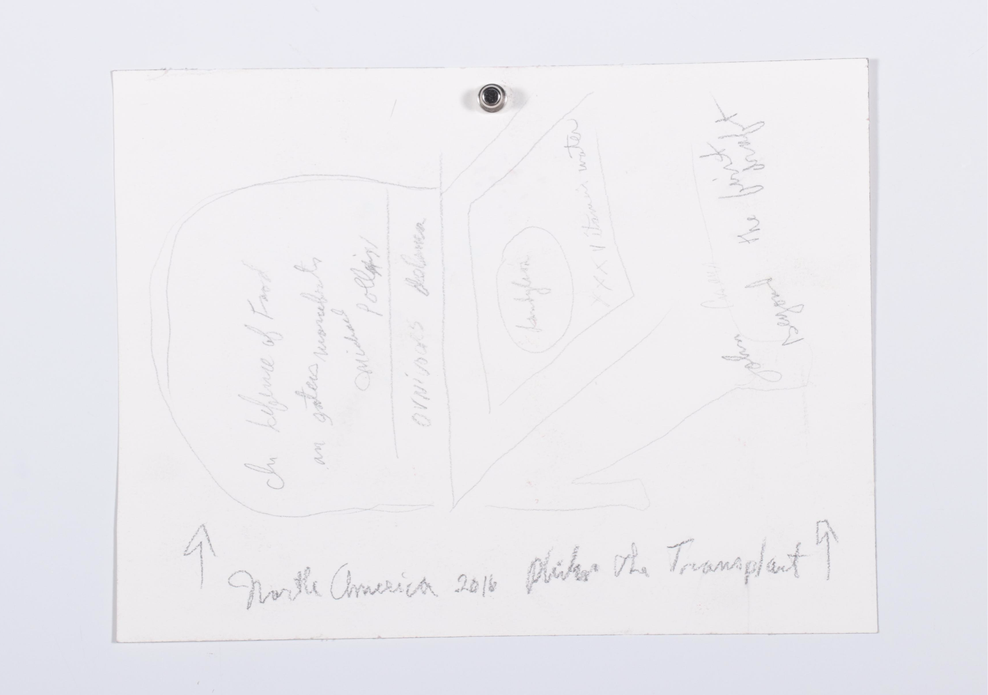 Philip the Transplant Drawings "North America," 21st Century