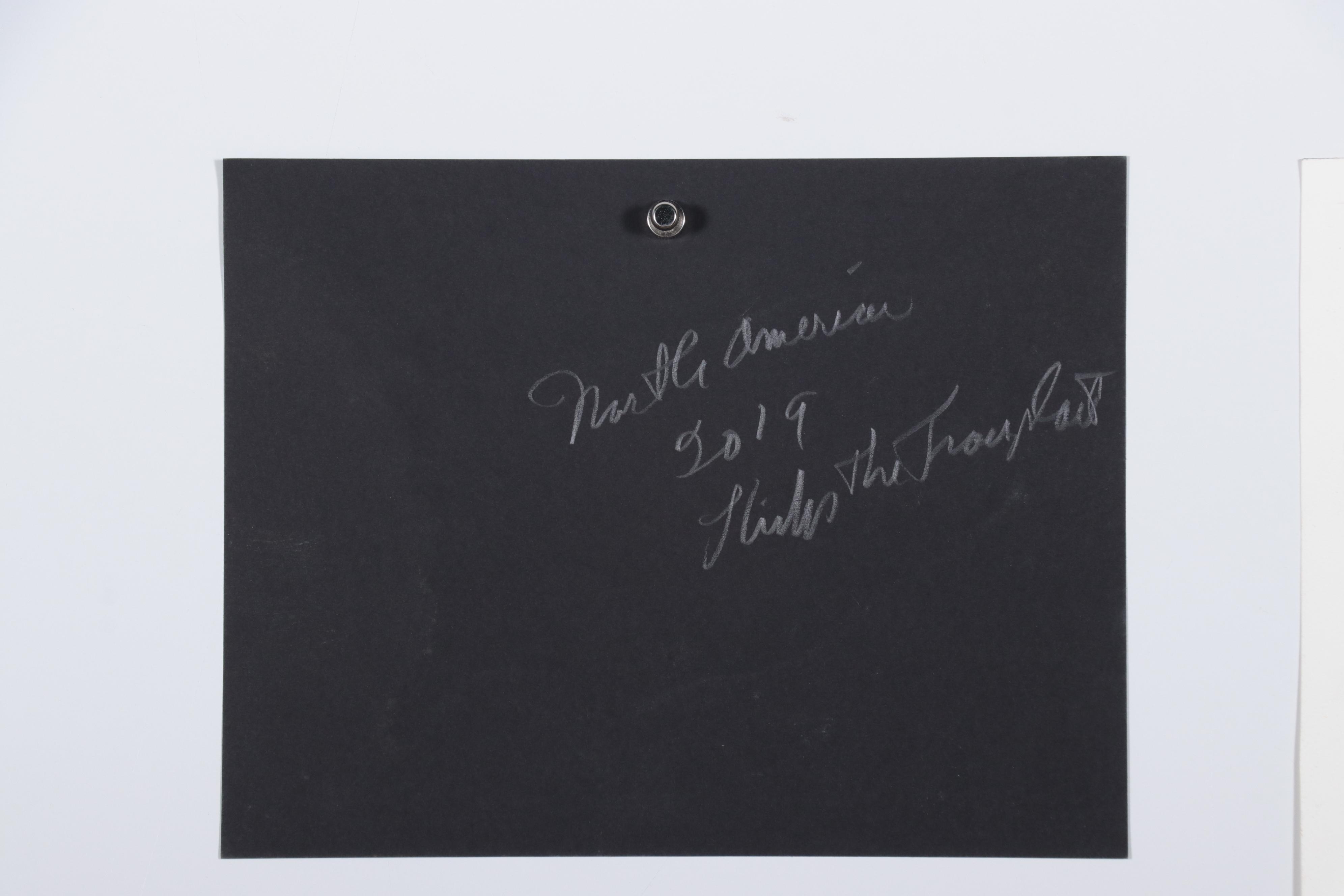 Philip the Transplant Drawings "North America," 21st Century