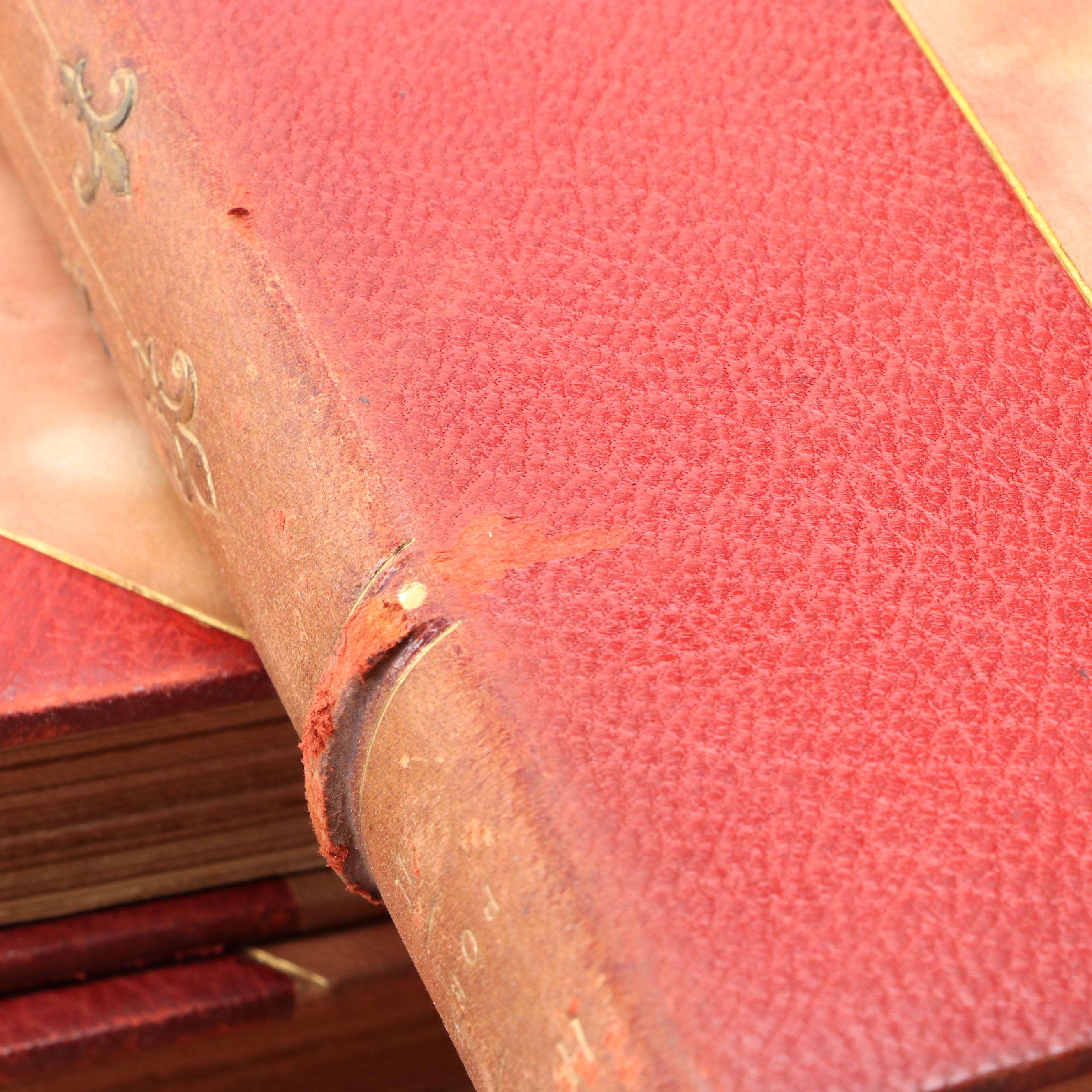 Limited Memorial Edition "The Works of Victor Hugo" Complete Thirty-Volume Set