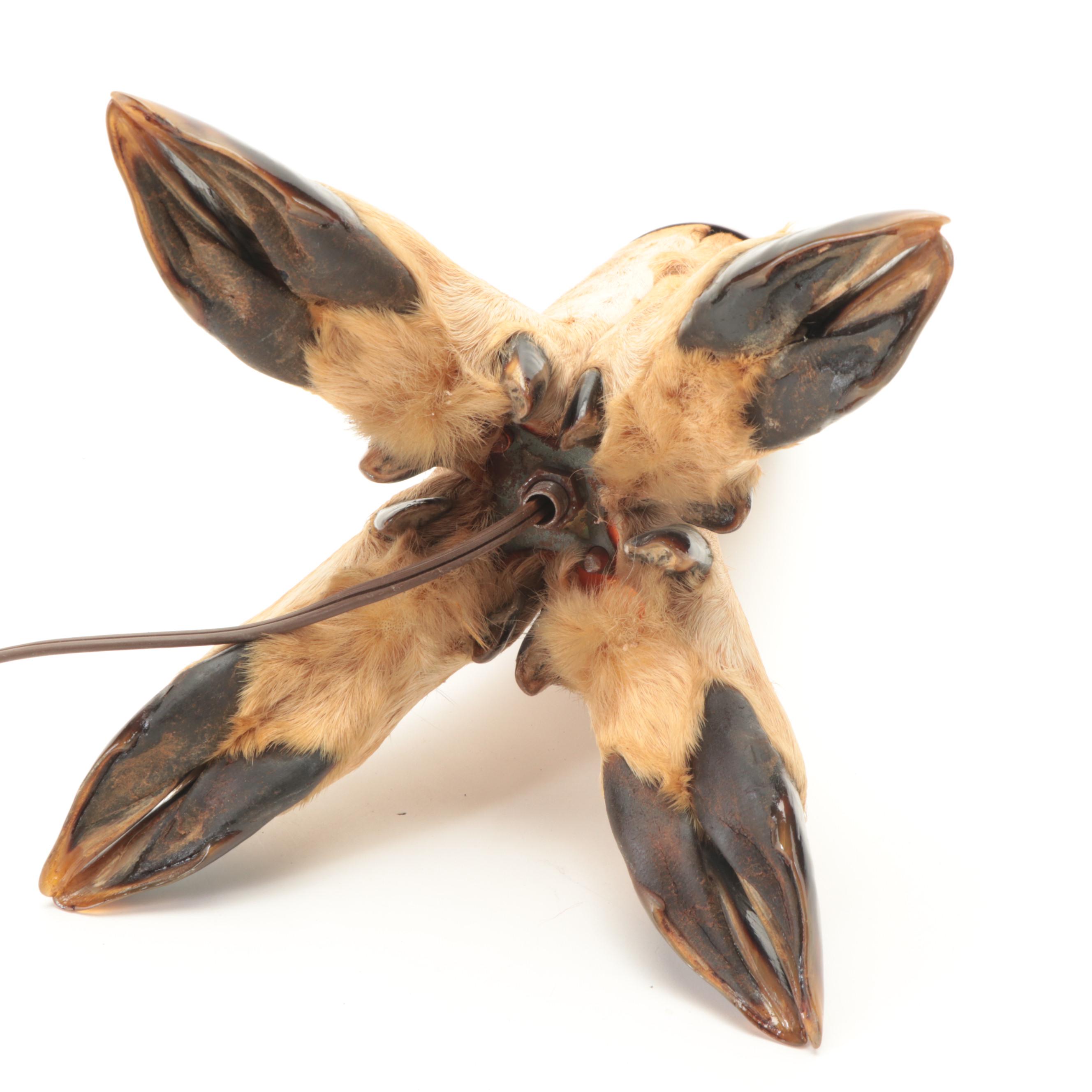 Taxidermy Deer Hoof Table Lamp