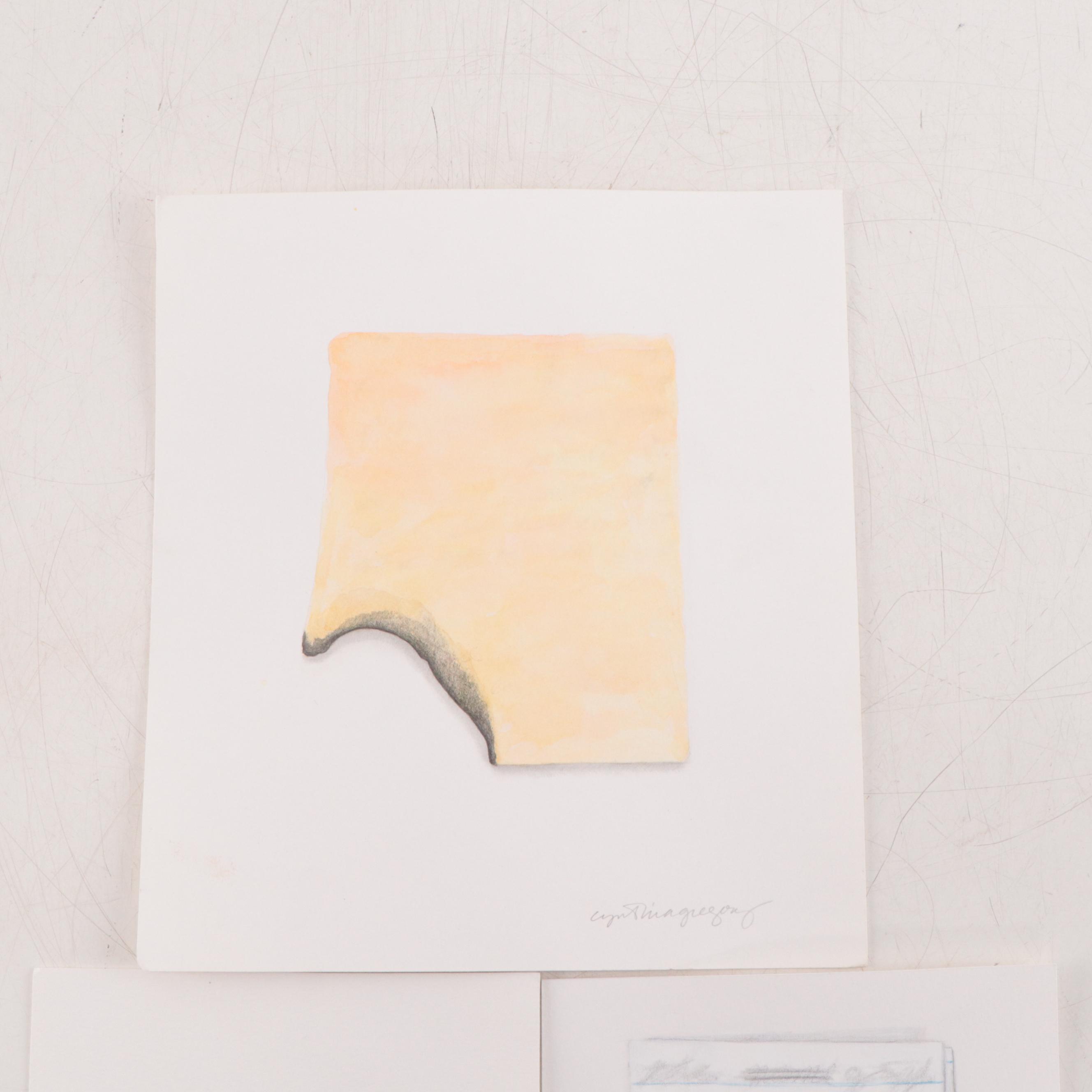 Cynthia Gregory Mixed Media Drawings of Paper Fragments