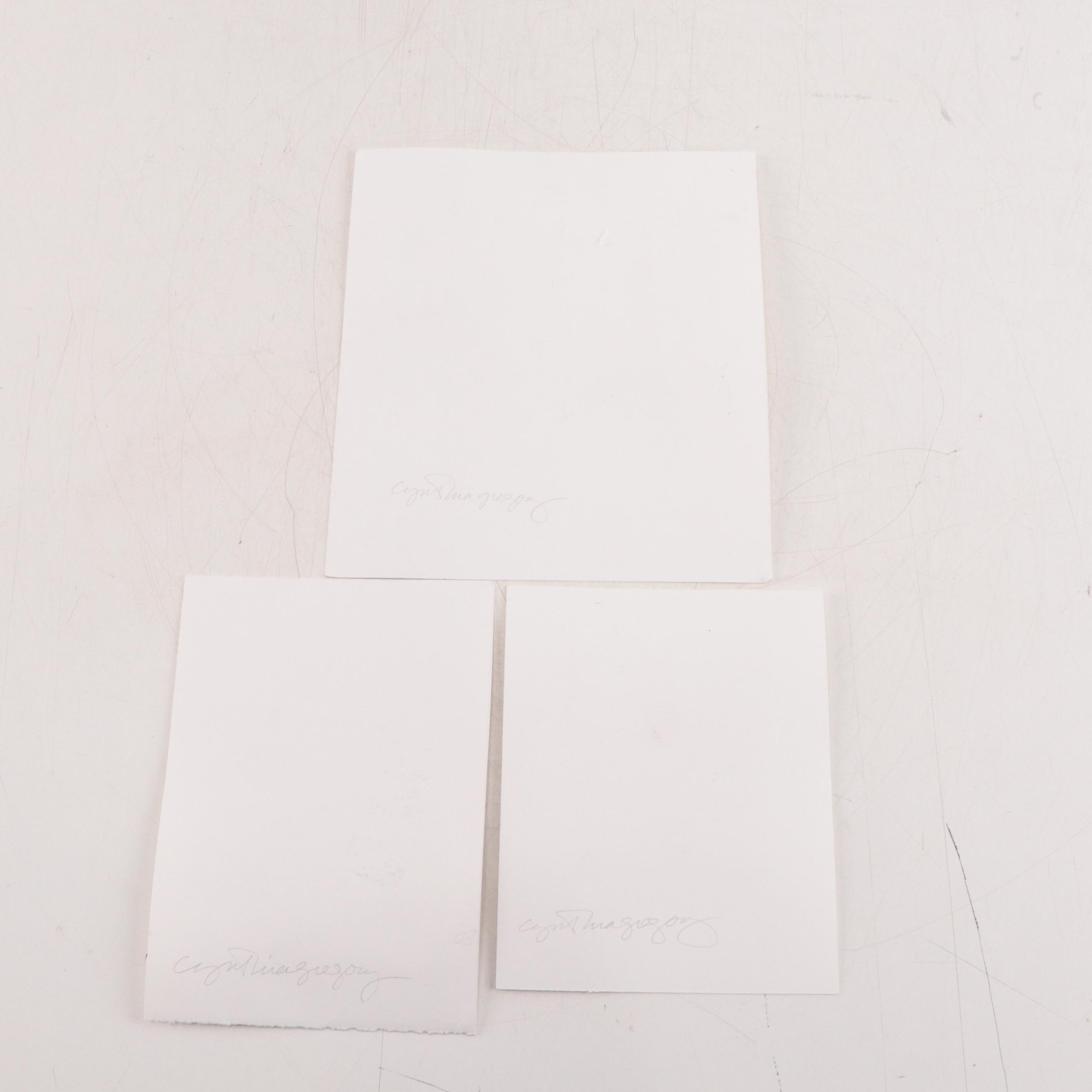 Cynthia Gregory Mixed Media Drawings of Paper Fragments