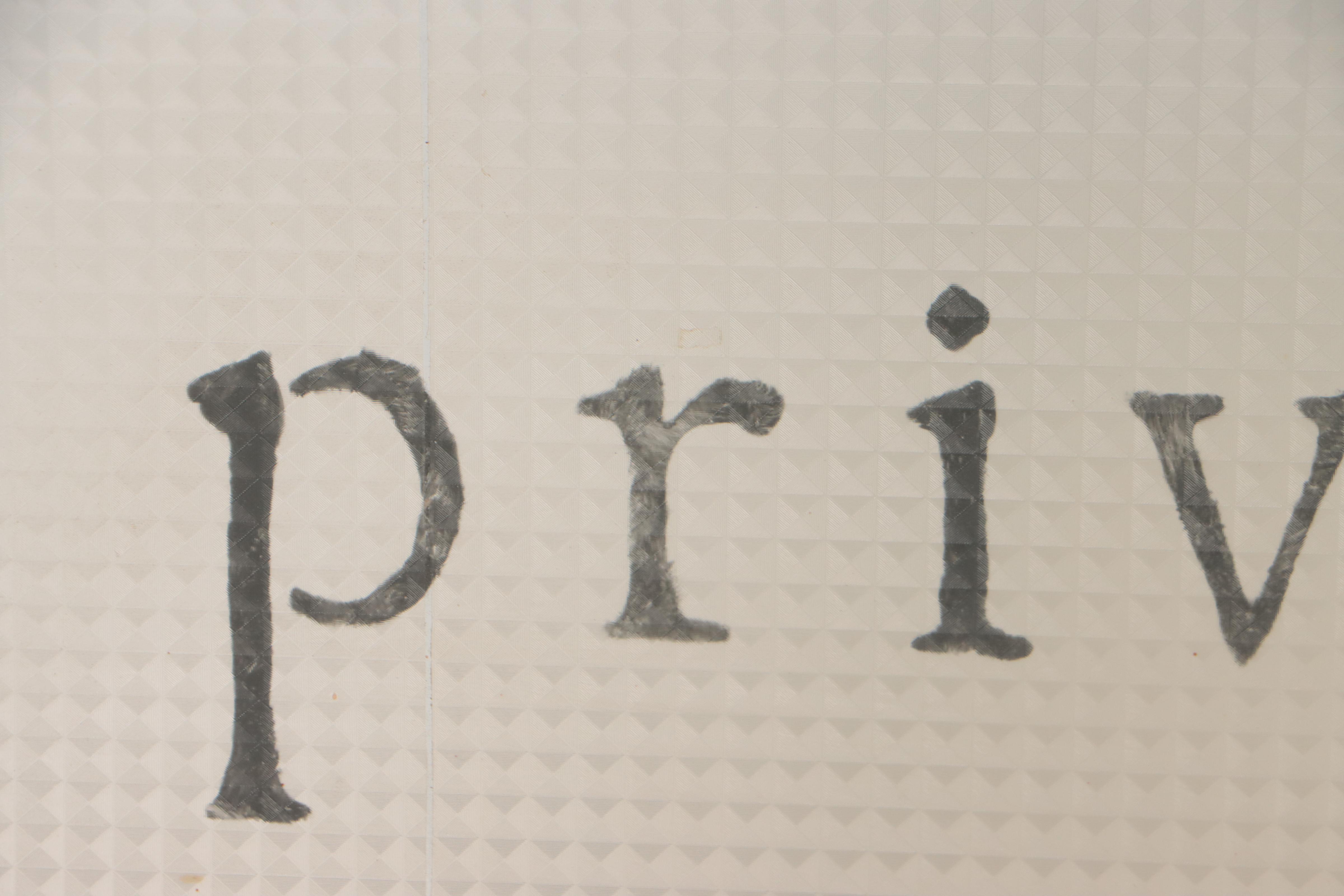 Textured Privacy Glass Window "Private", Early 20th Century