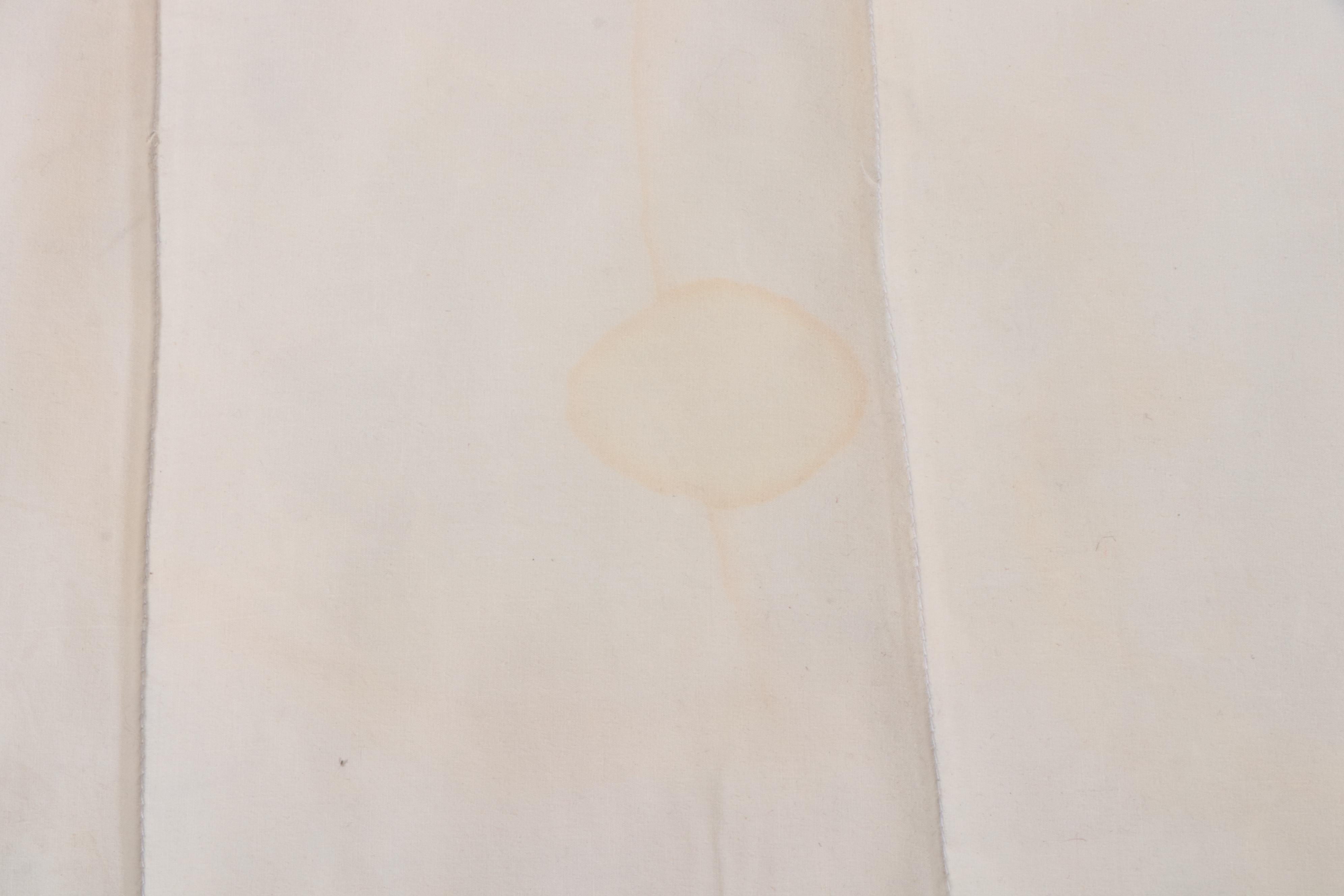 Contemporary Cotton Duck Upholstered Daybed