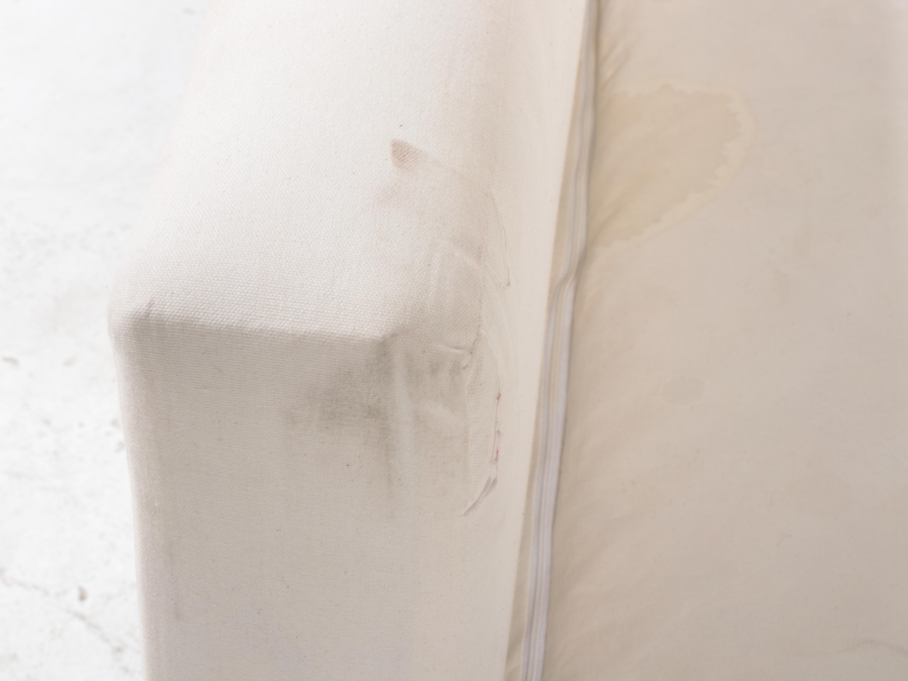 Contemporary Cotton Duck Upholstered Daybed