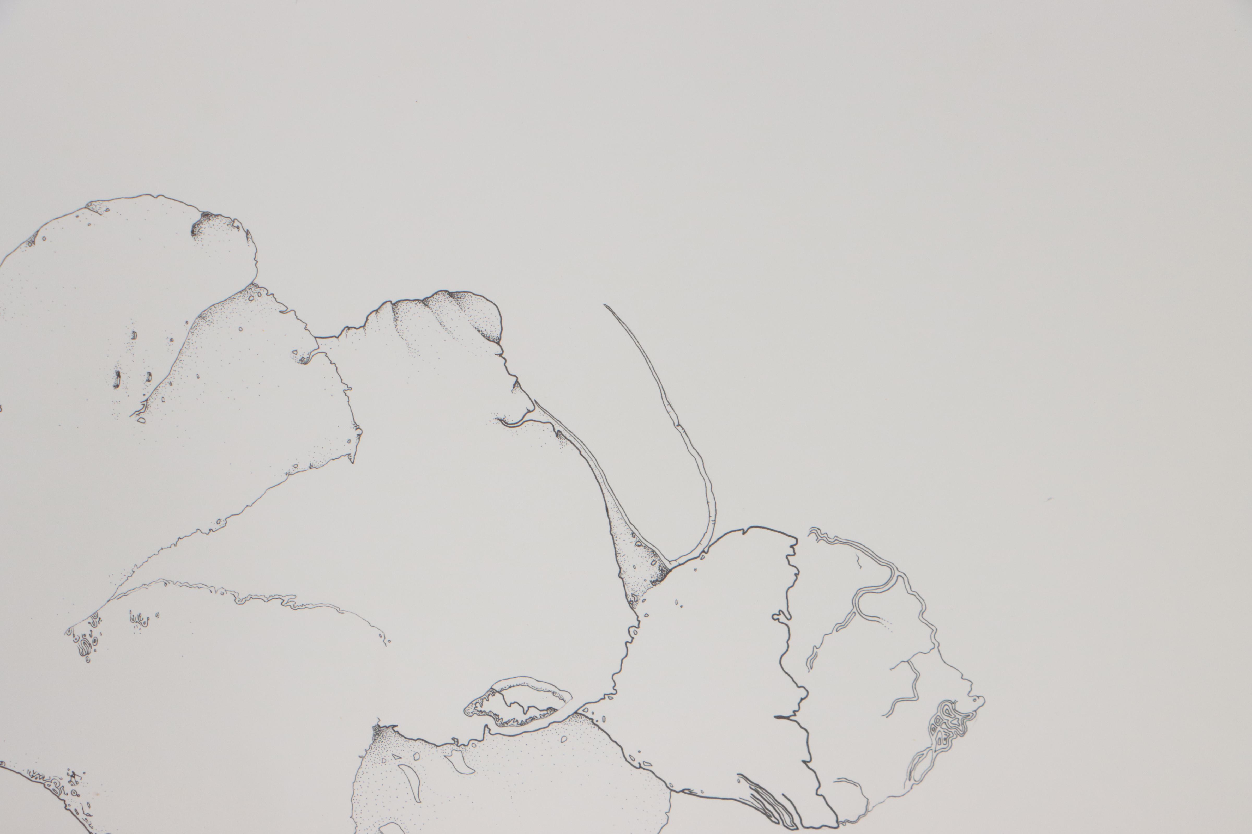 Tilley Stone Abstract Ink Drawing, 21st Century