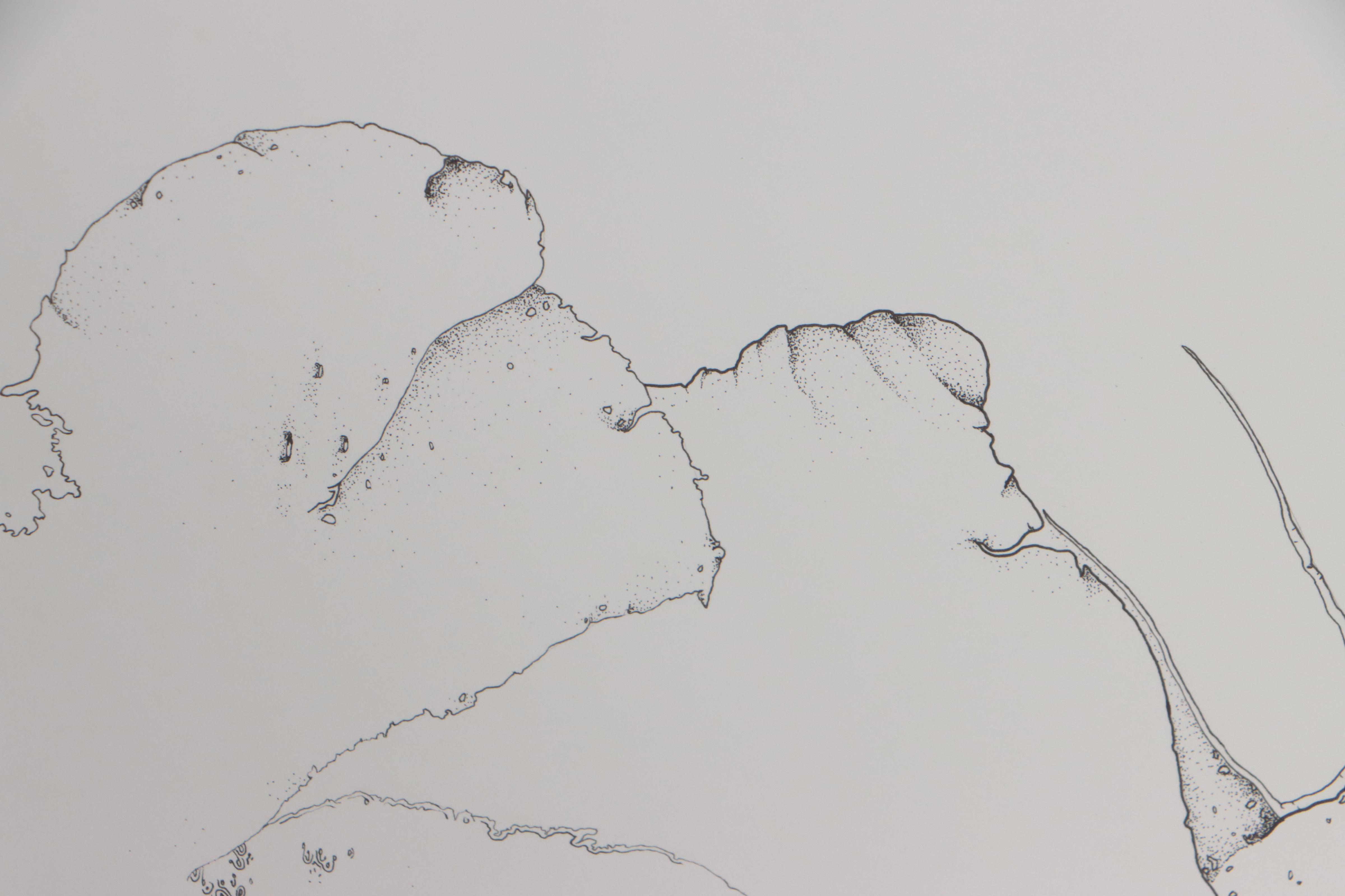 Tilley Stone Abstract Ink Drawing, 21st Century