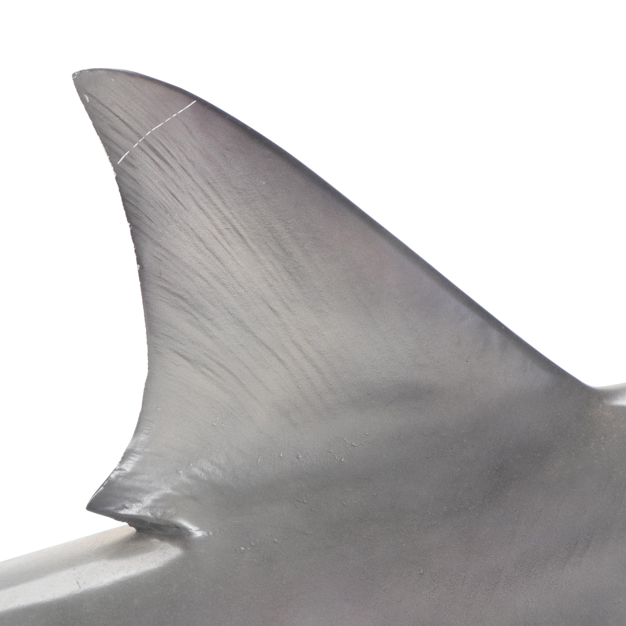 Taxidermy Replica Fiberglass Bull Shark