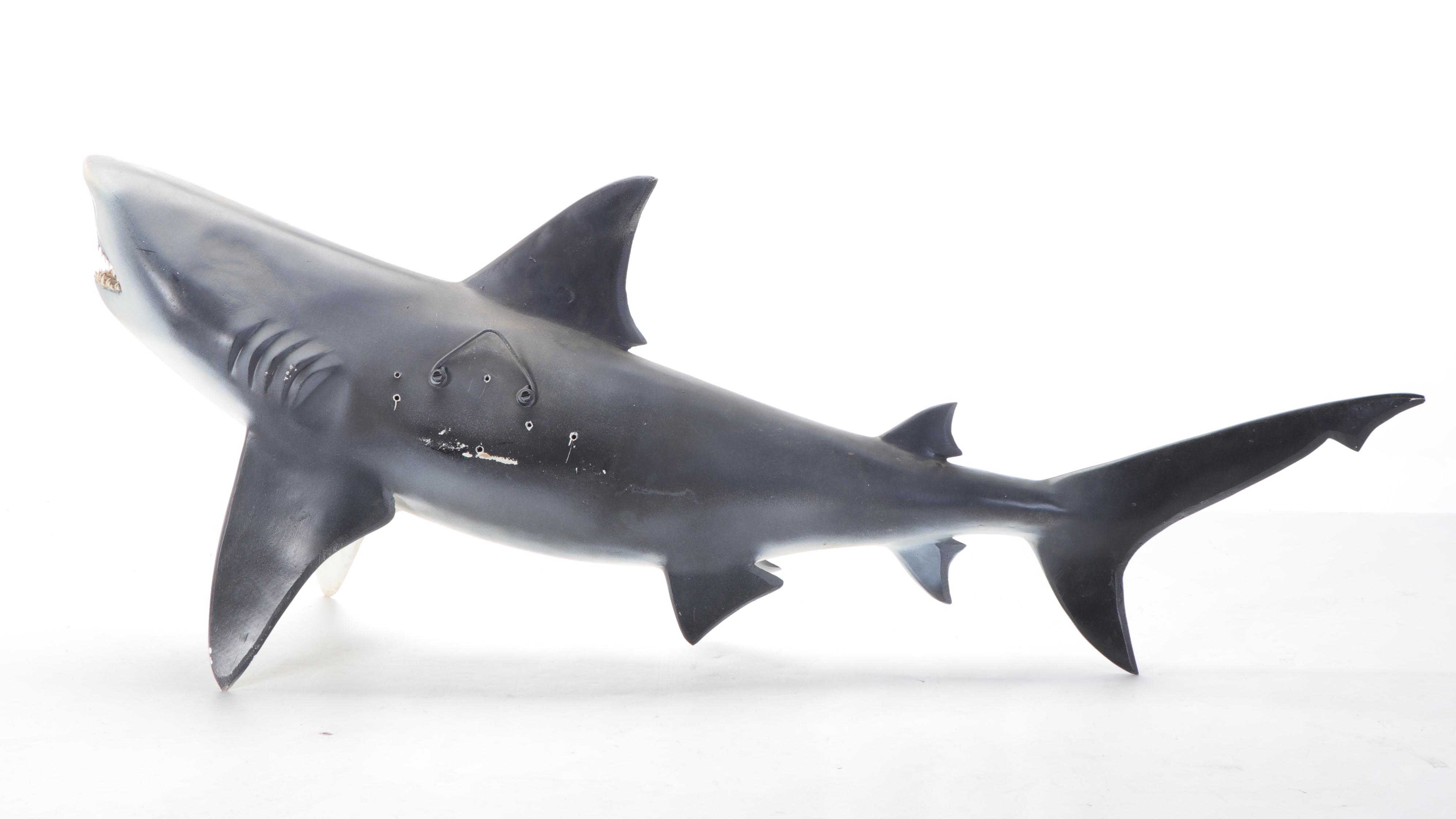Taxidermy Replica Fiberglass Bull Shark