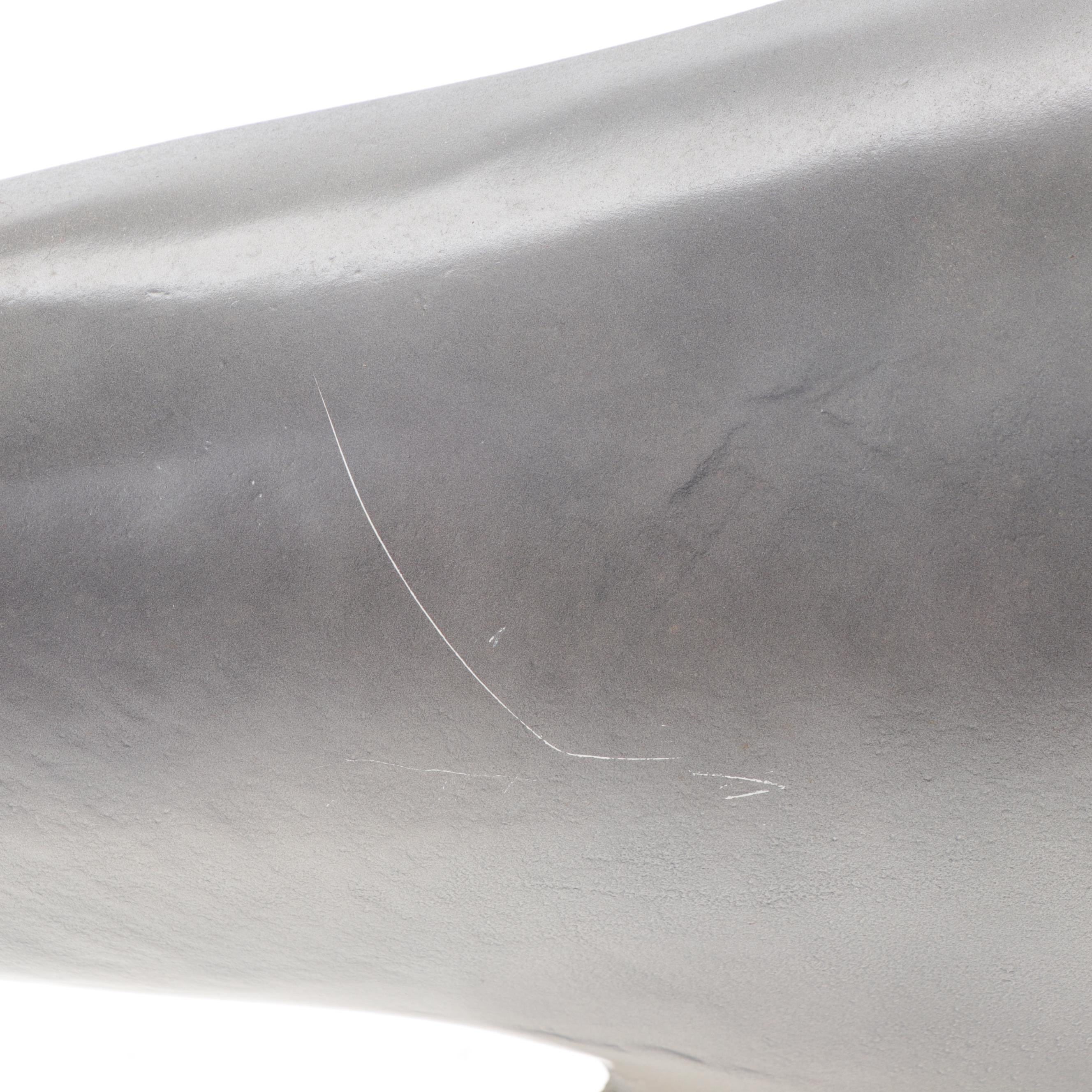 Taxidermy Replica Fiberglass Bull Shark