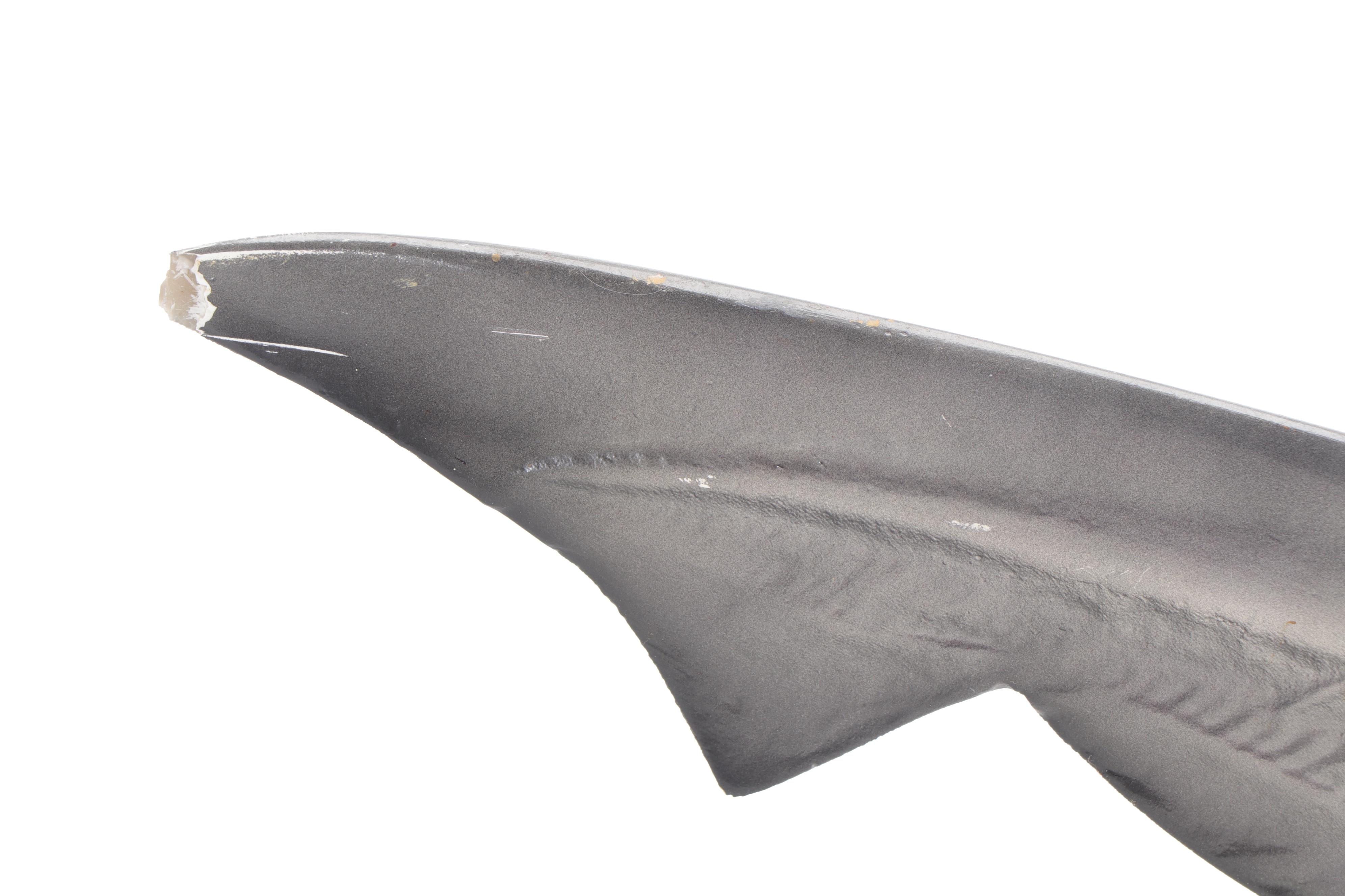 Taxidermy Replica Fiberglass Bull Shark