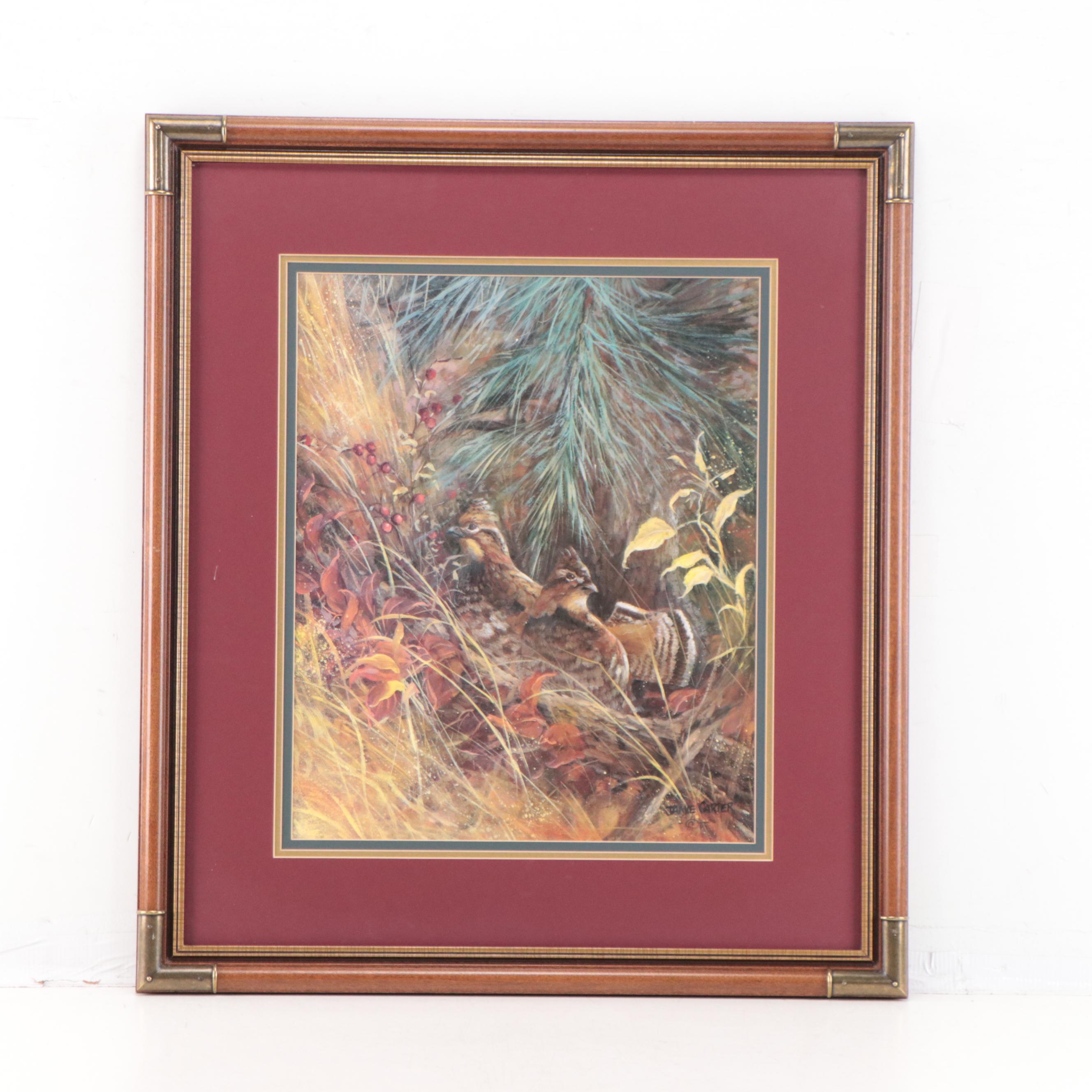 Jamie Carter Offset Lithographs of Birds