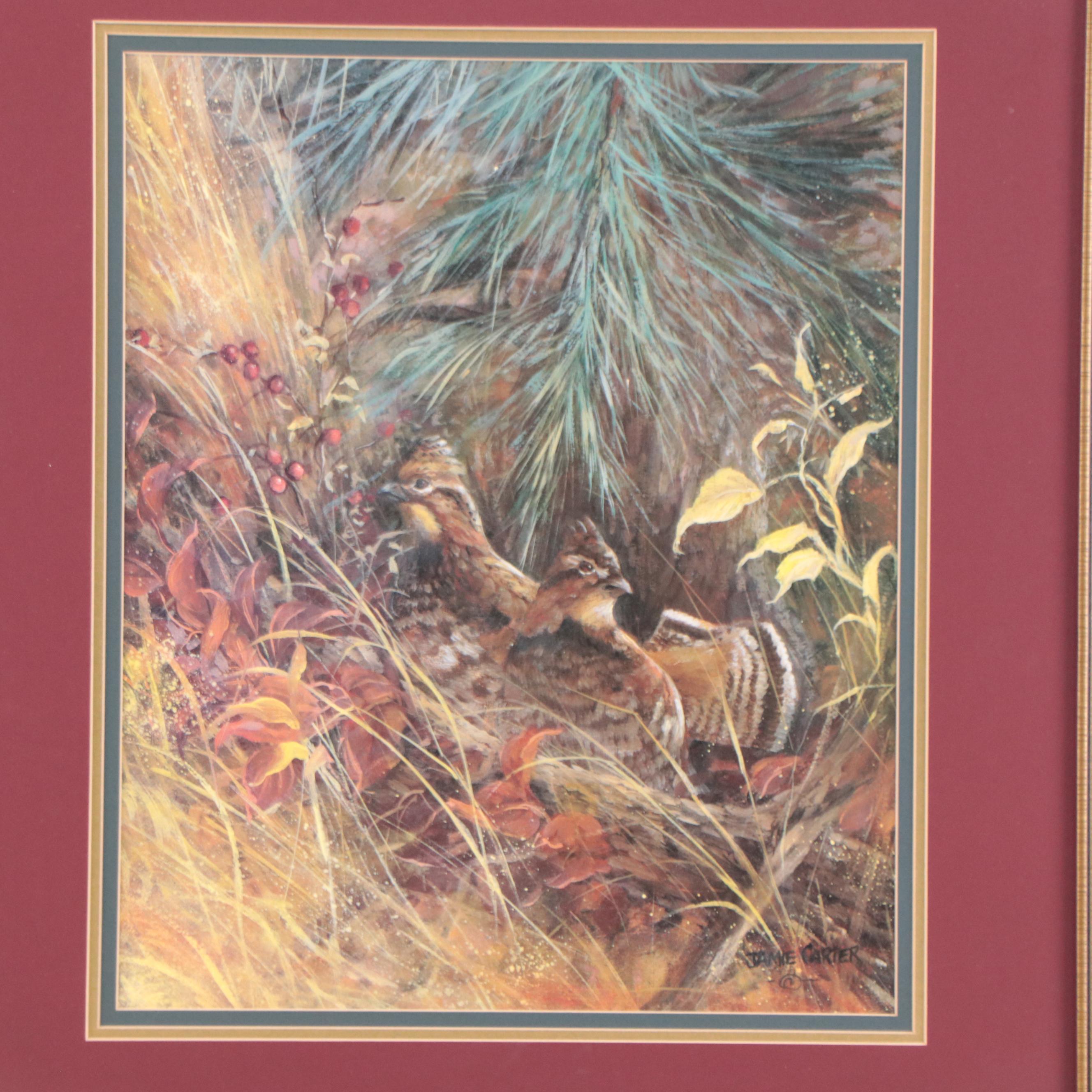 Jamie Carter Offset Lithographs of Birds