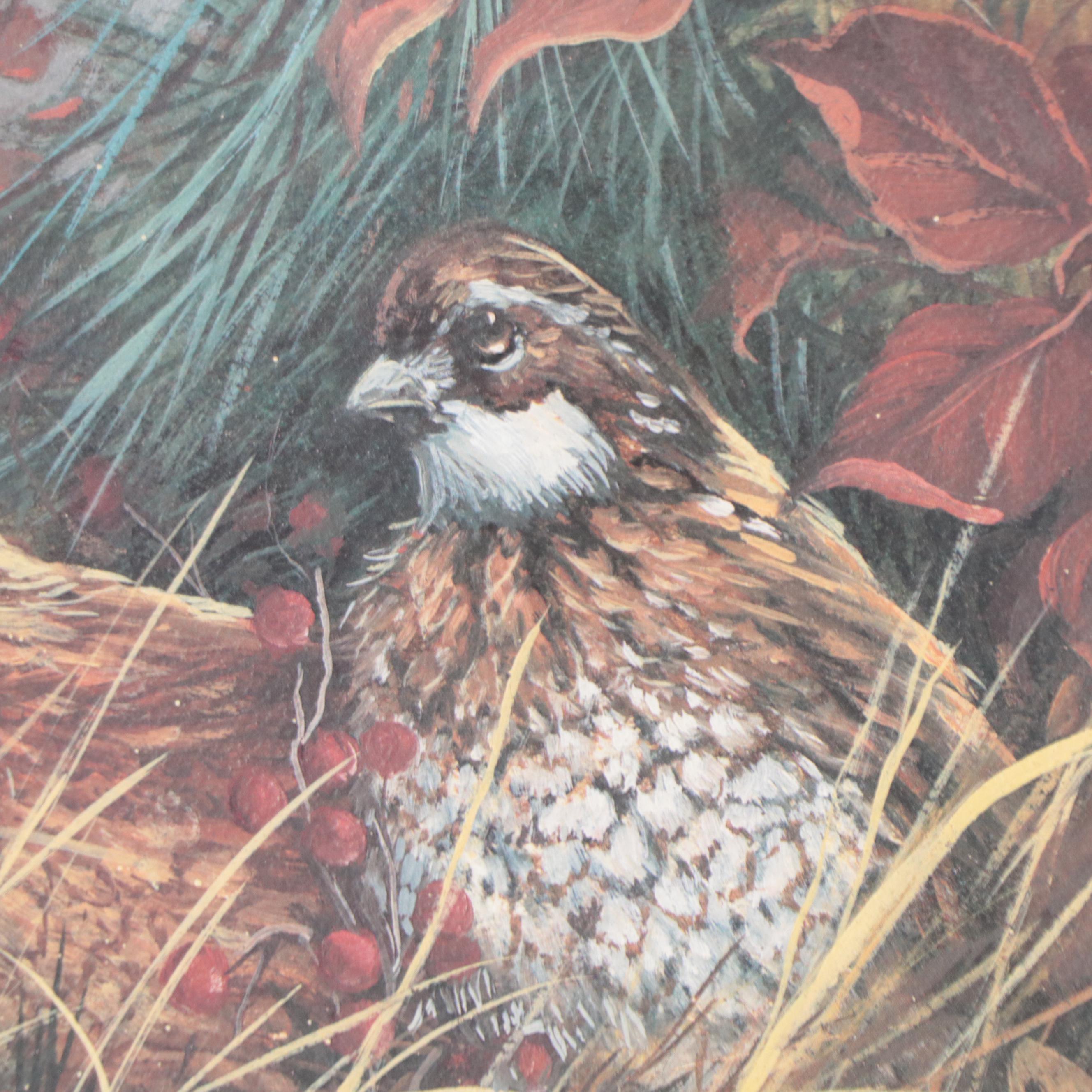 Jamie Carter Offset Lithographs of Birds