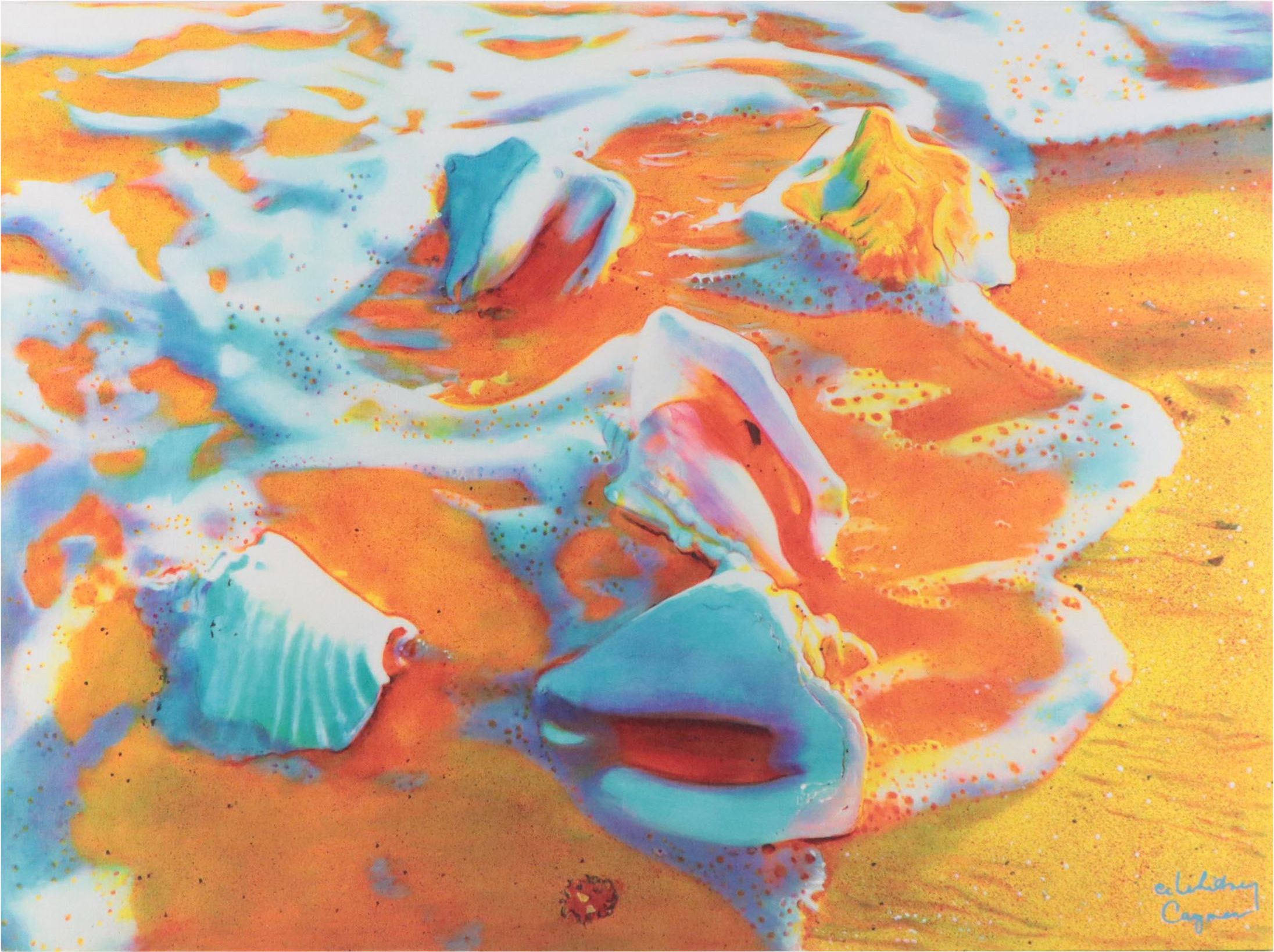 Giclée After CE Whitney "Sea Foam Conch"