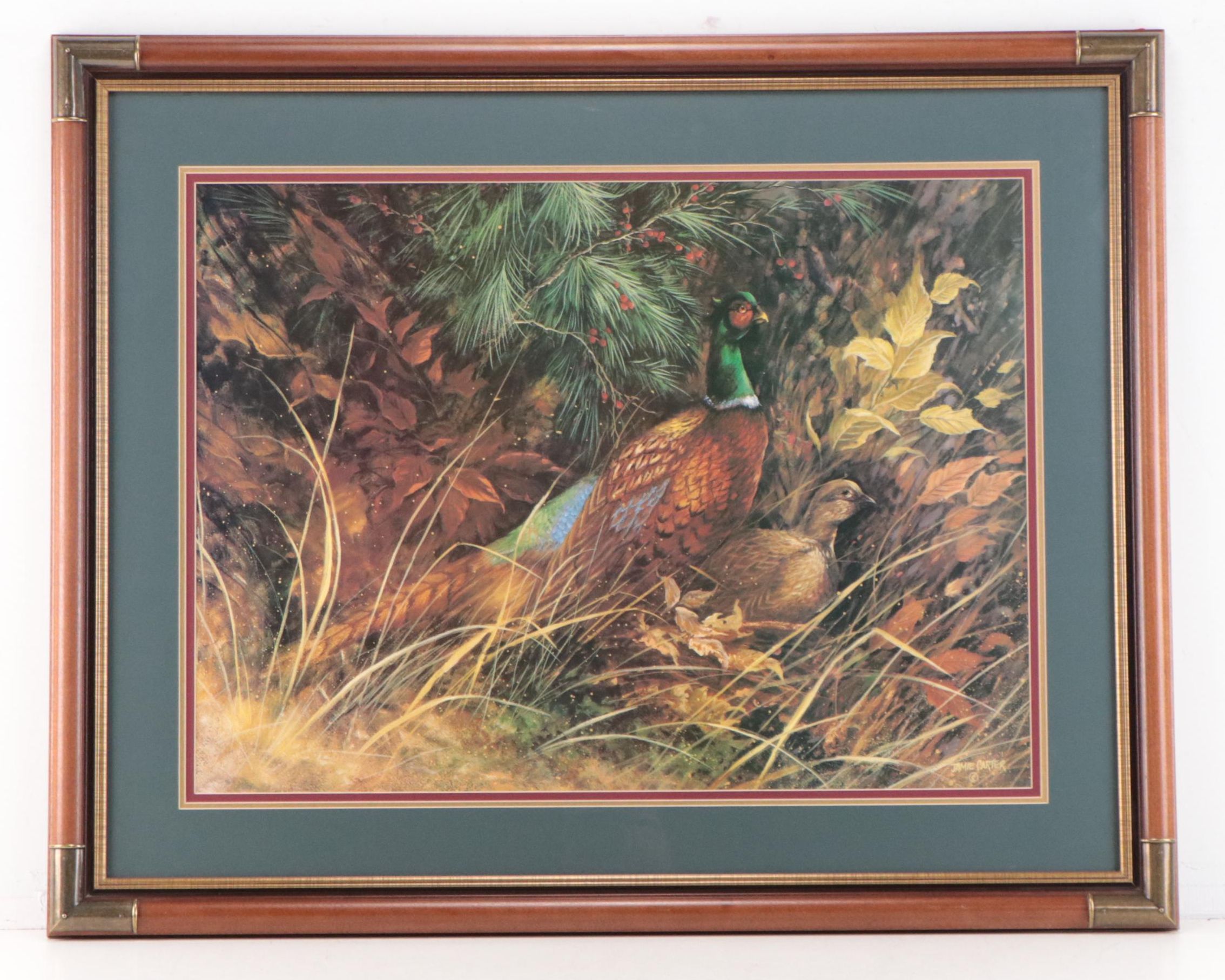 Jamie Carter Offset Lithographs of Birds