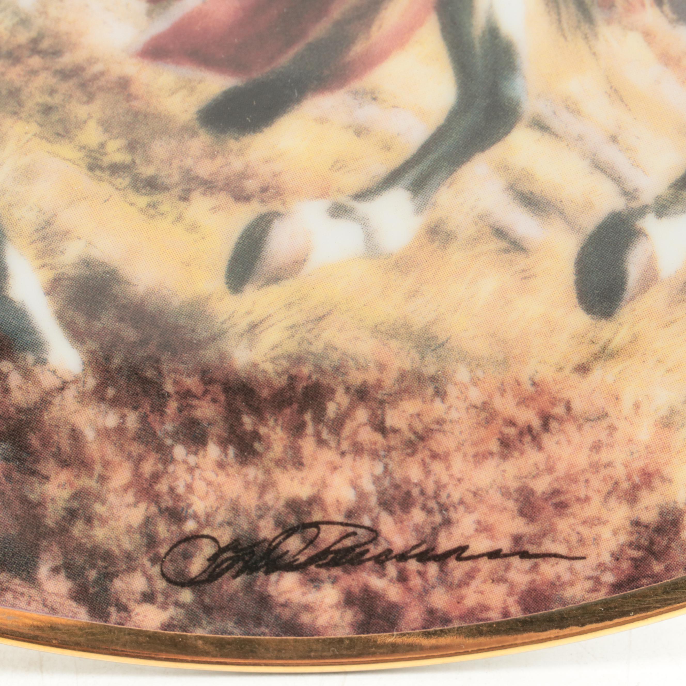 Franklin Mint Porcelain and Hamilton Collection Plastic Collector Plates