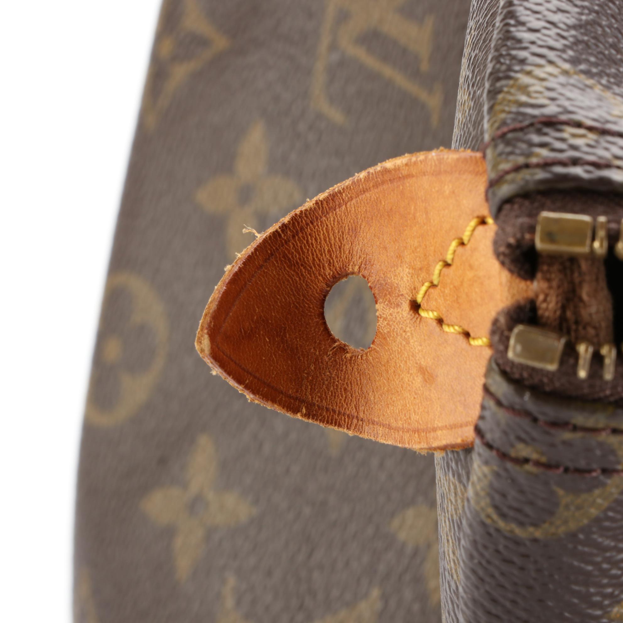Louis Vuitton Speedy 25 in Monogram Canvas and Vachetta Leather