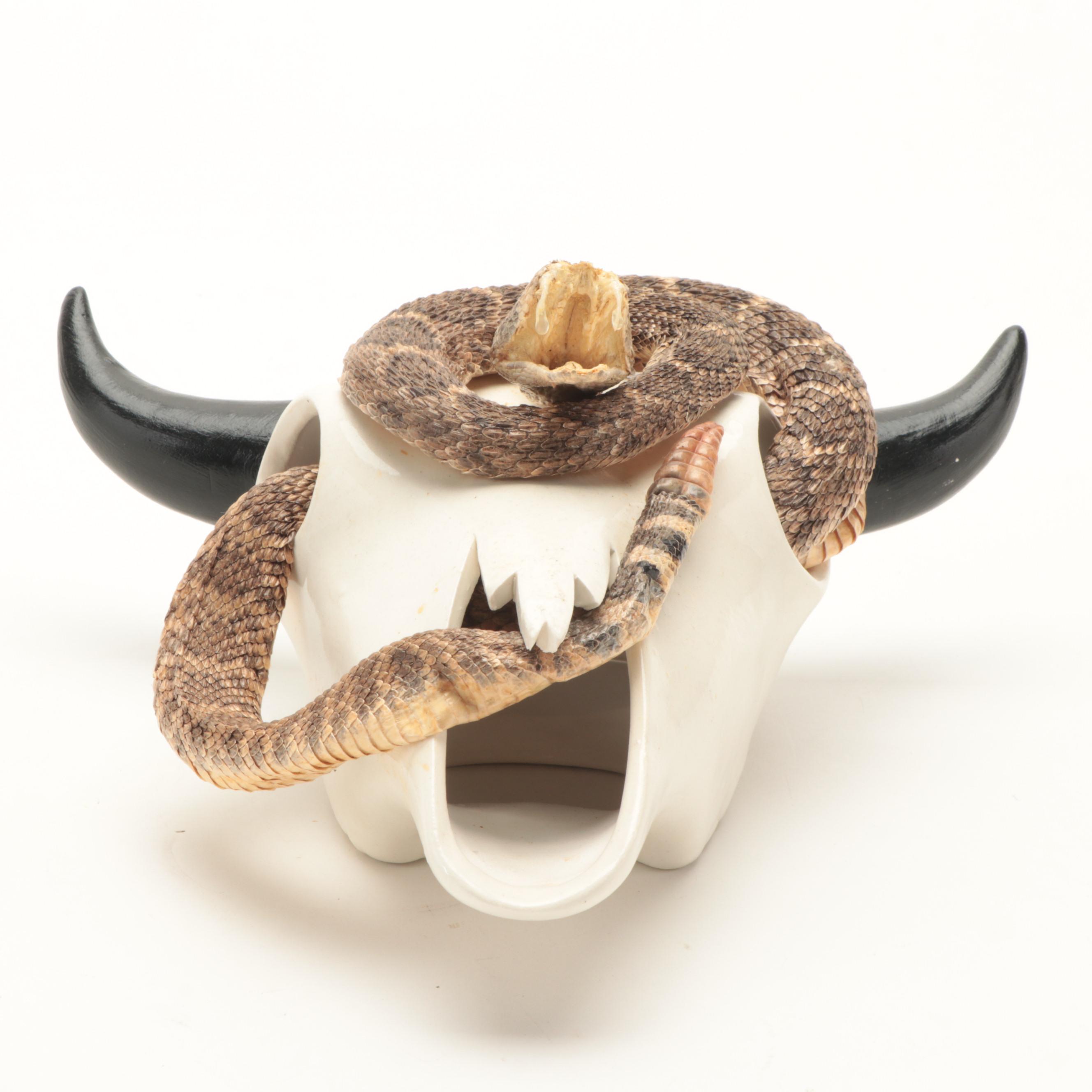 Western Diamondback Rattlesnake Full Body Mount in Ceramic Cow Skull