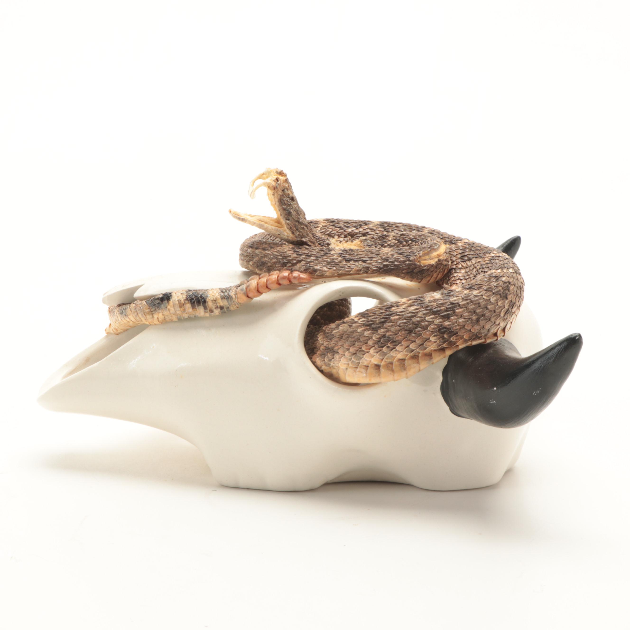 Western Diamondback Rattlesnake Full Body Mount in Ceramic Cow Skull