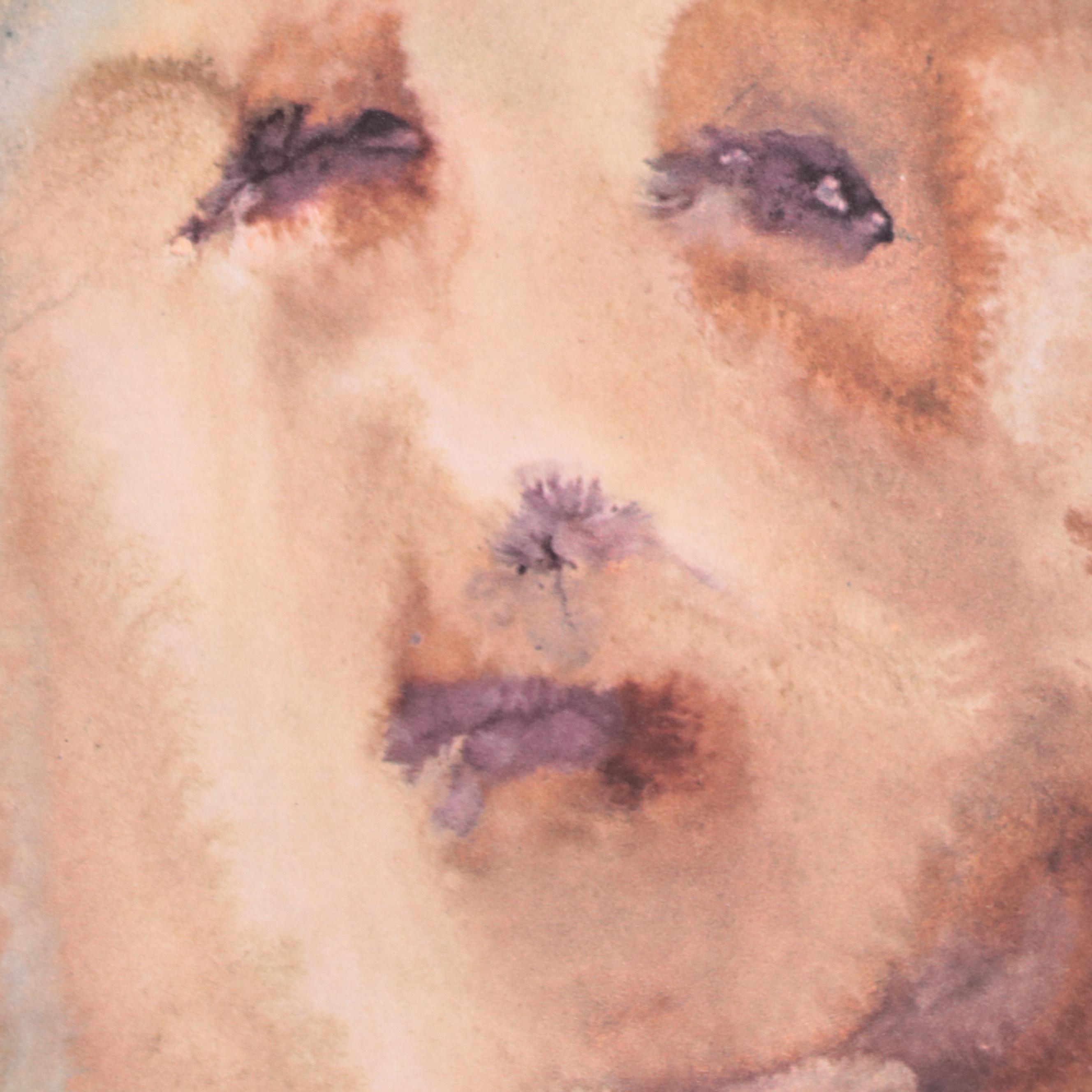 Salvador Dalí Lithographic Print from "Biblia Sacra," 1969