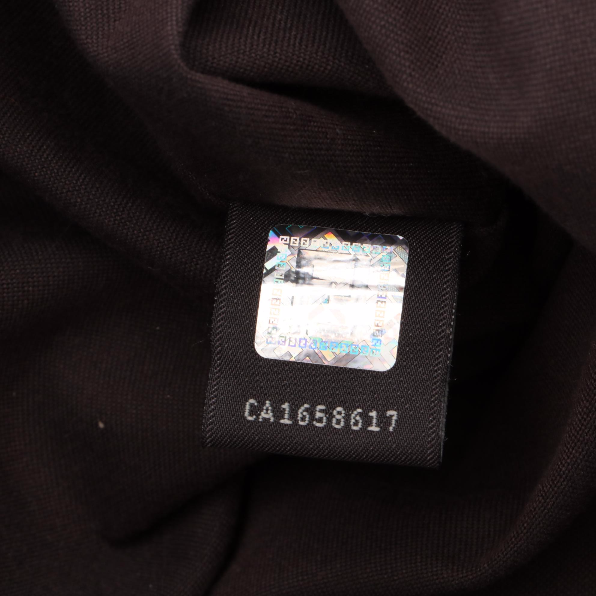 Fendi Chains 8BR636 Shoulder Bag in Metallic Shimmer Leather