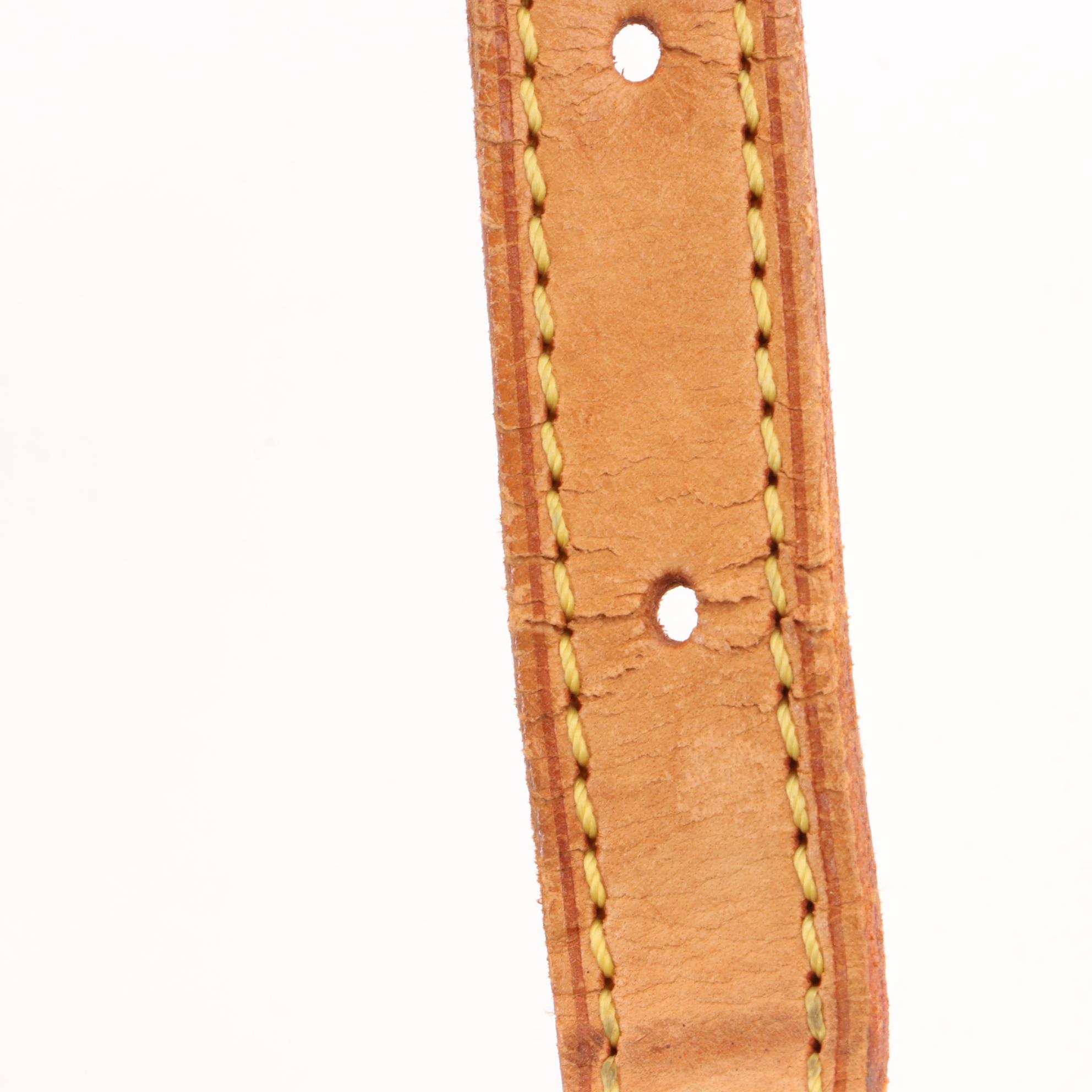 Louis Vuitton Bucket Bag in Monogram Canvas and Vachetta Leather