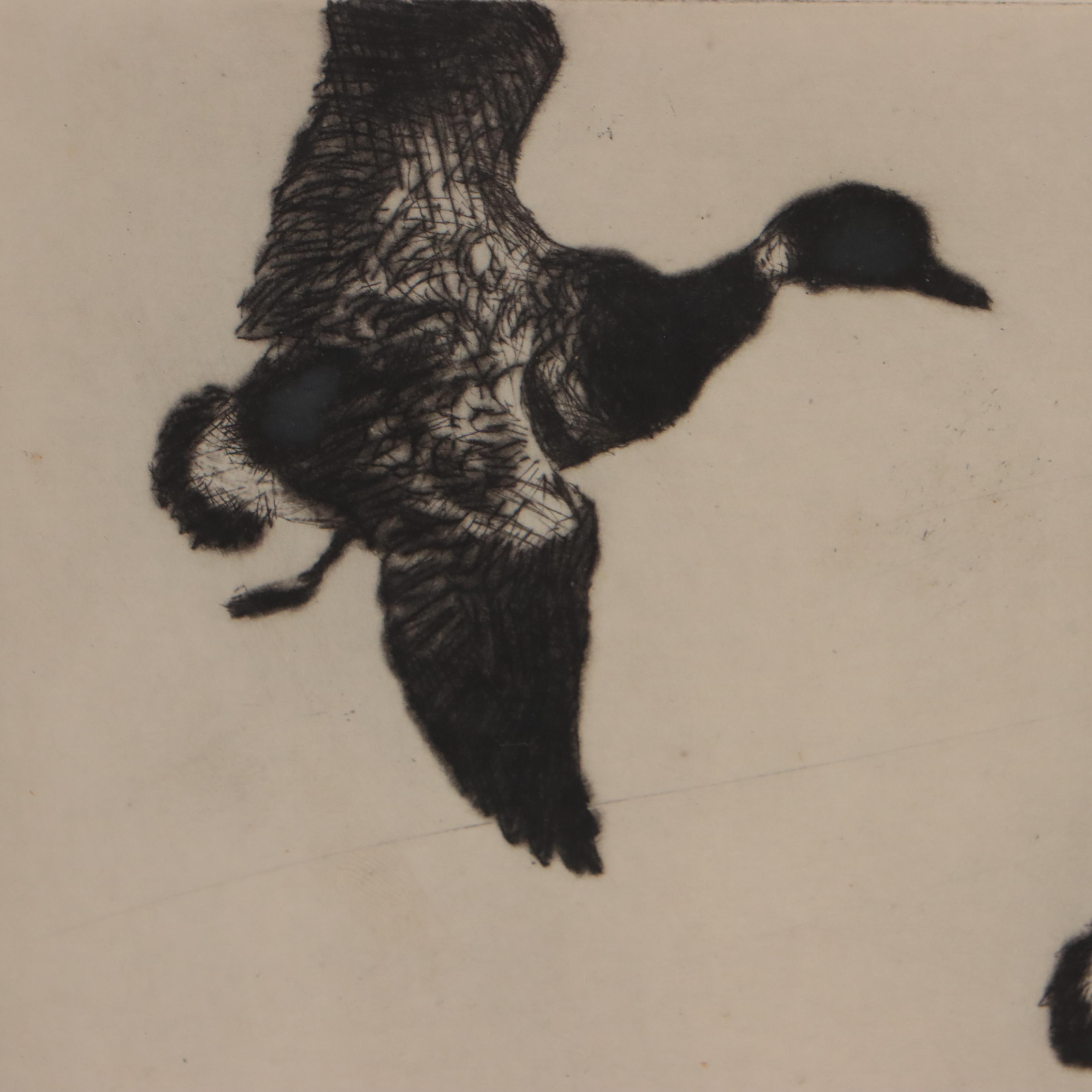 Frank W. Benson Drypoint Etching "Flying Brant," 1925