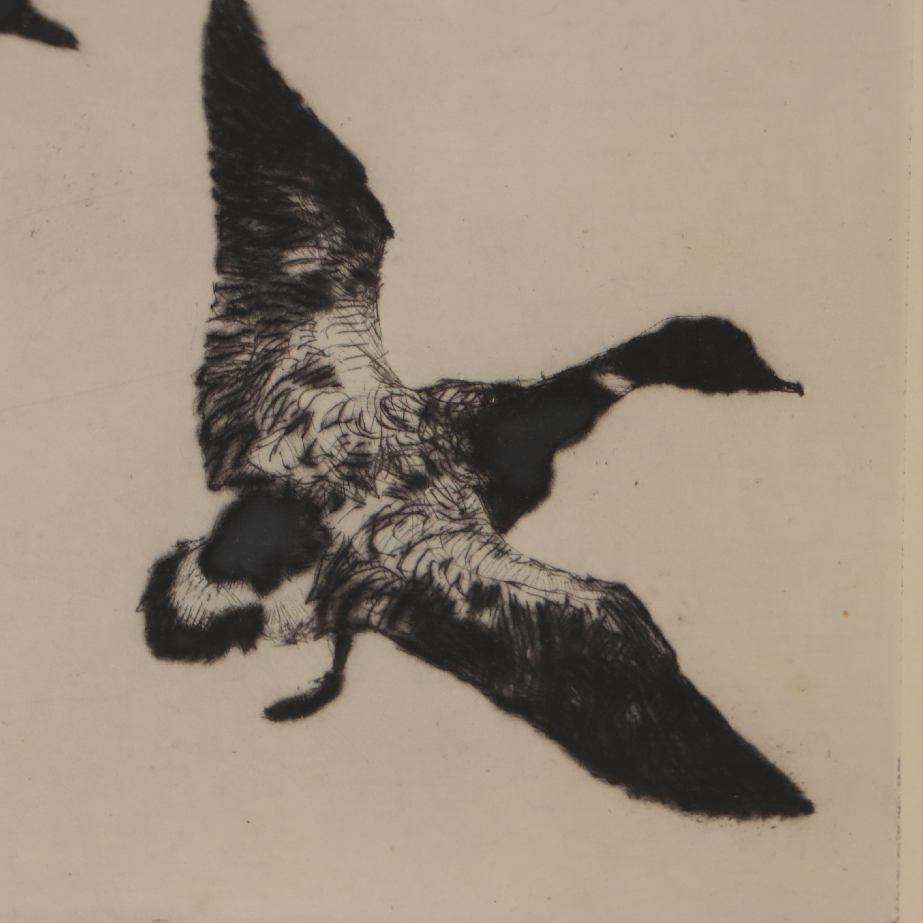 Frank W. Benson Drypoint Etching "Flying Brant," 1925
