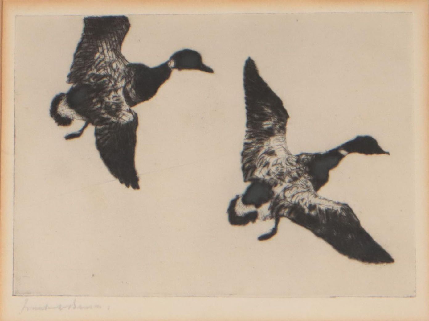 Frank W. Benson Drypoint Etching "Flying Brant," 1925
