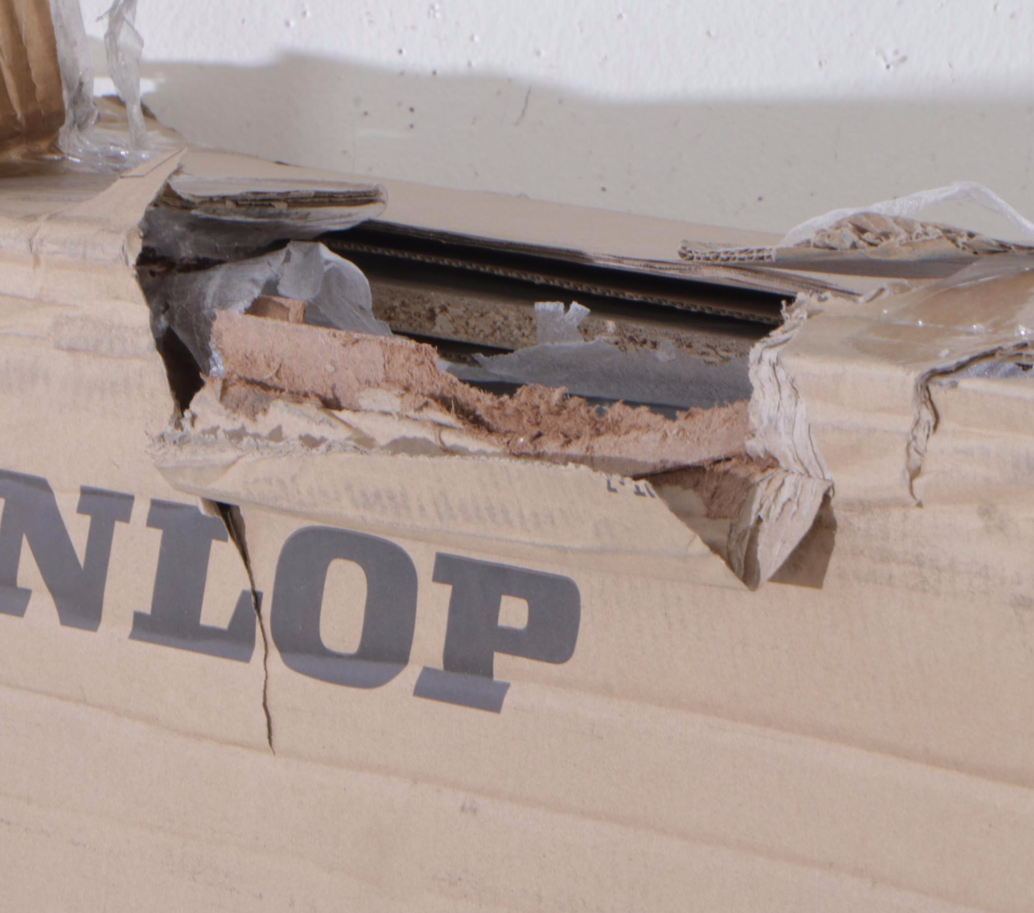 Dunlop Outdoor Table Tennis Table