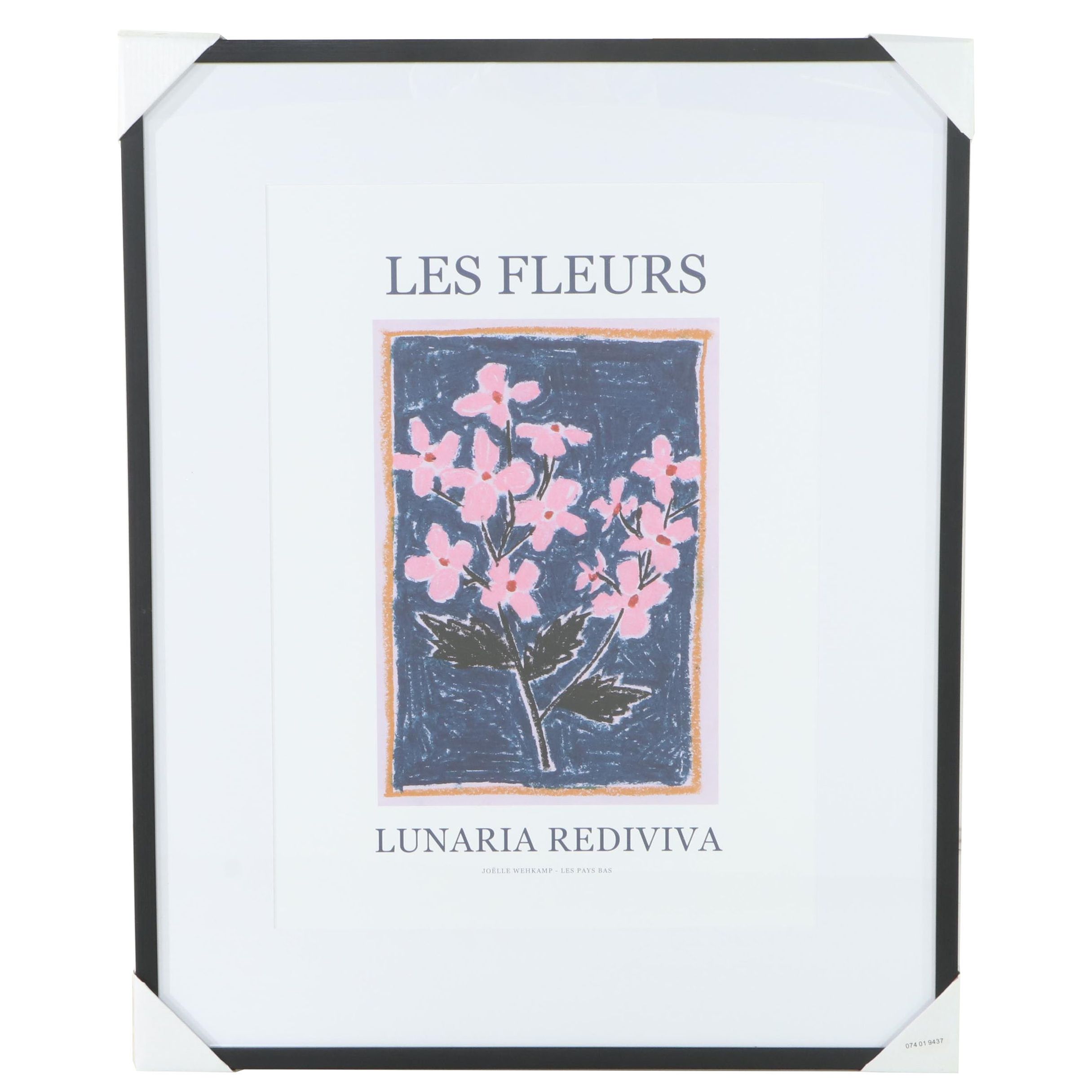 Threshold Contemporary Floral Giclée After Joëlle Wehkamp "Lunaria Rediviva"