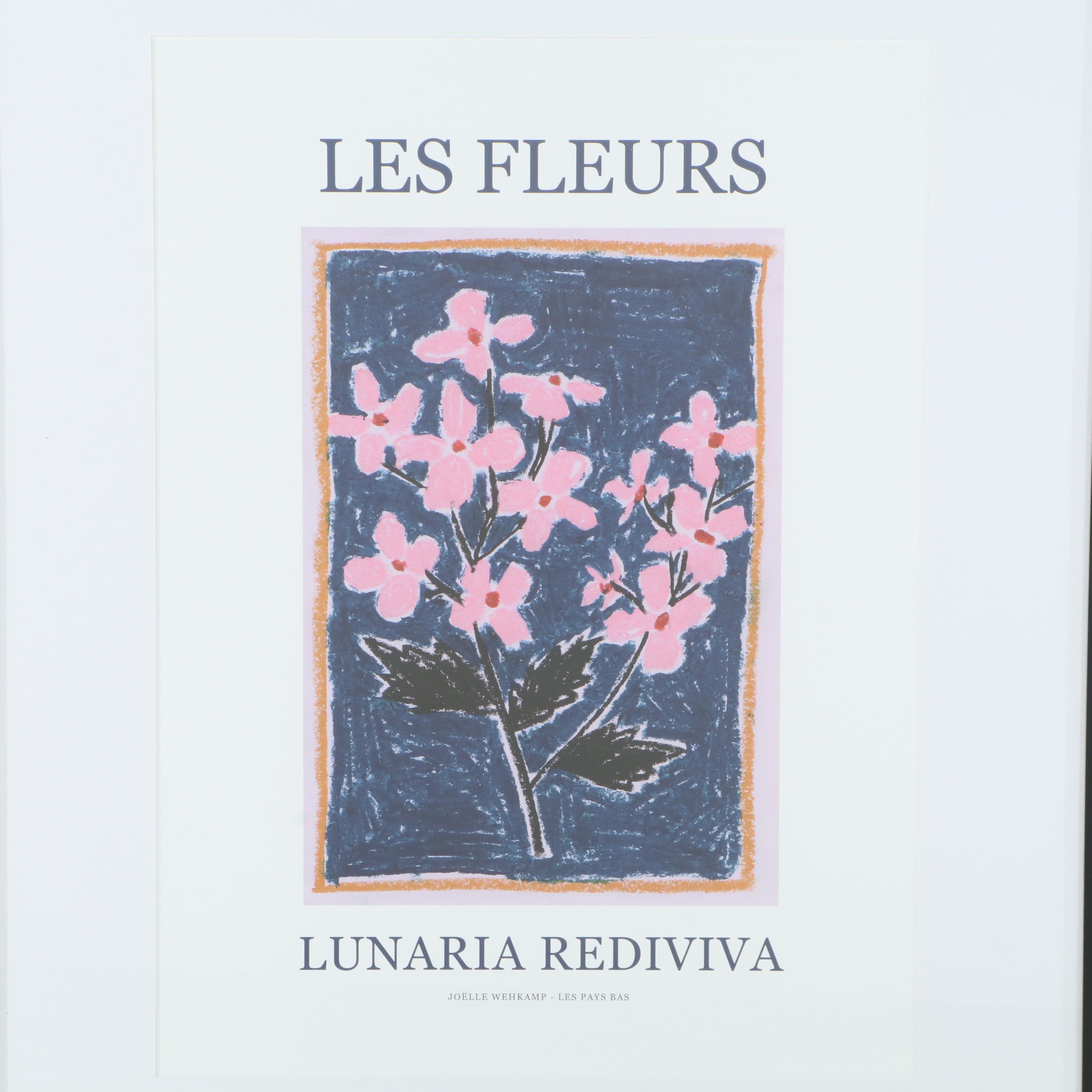 Threshold Contemporary Floral Giclée After Joëlle Wehkamp "Lunaria Rediviva"