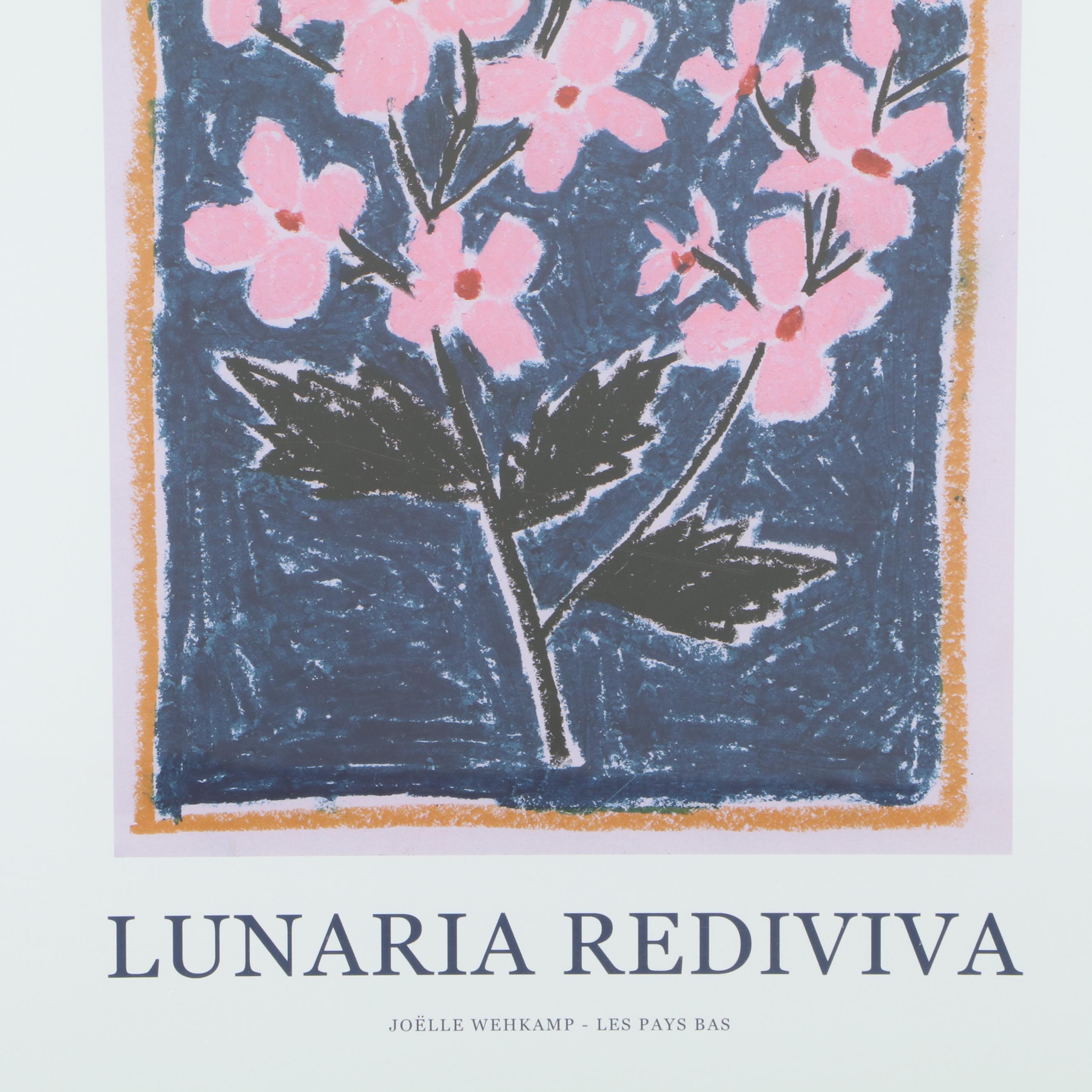 Threshold Contemporary Floral Giclée After Joëlle Wehkamp "Lunaria Rediviva"