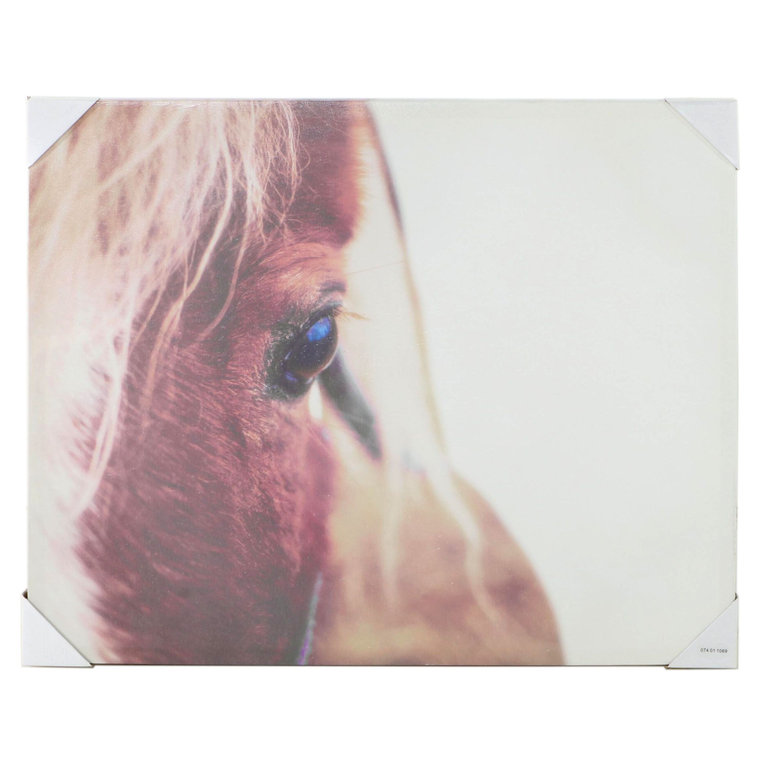 Threshold Contemporary Giclée Close-Up of Horse