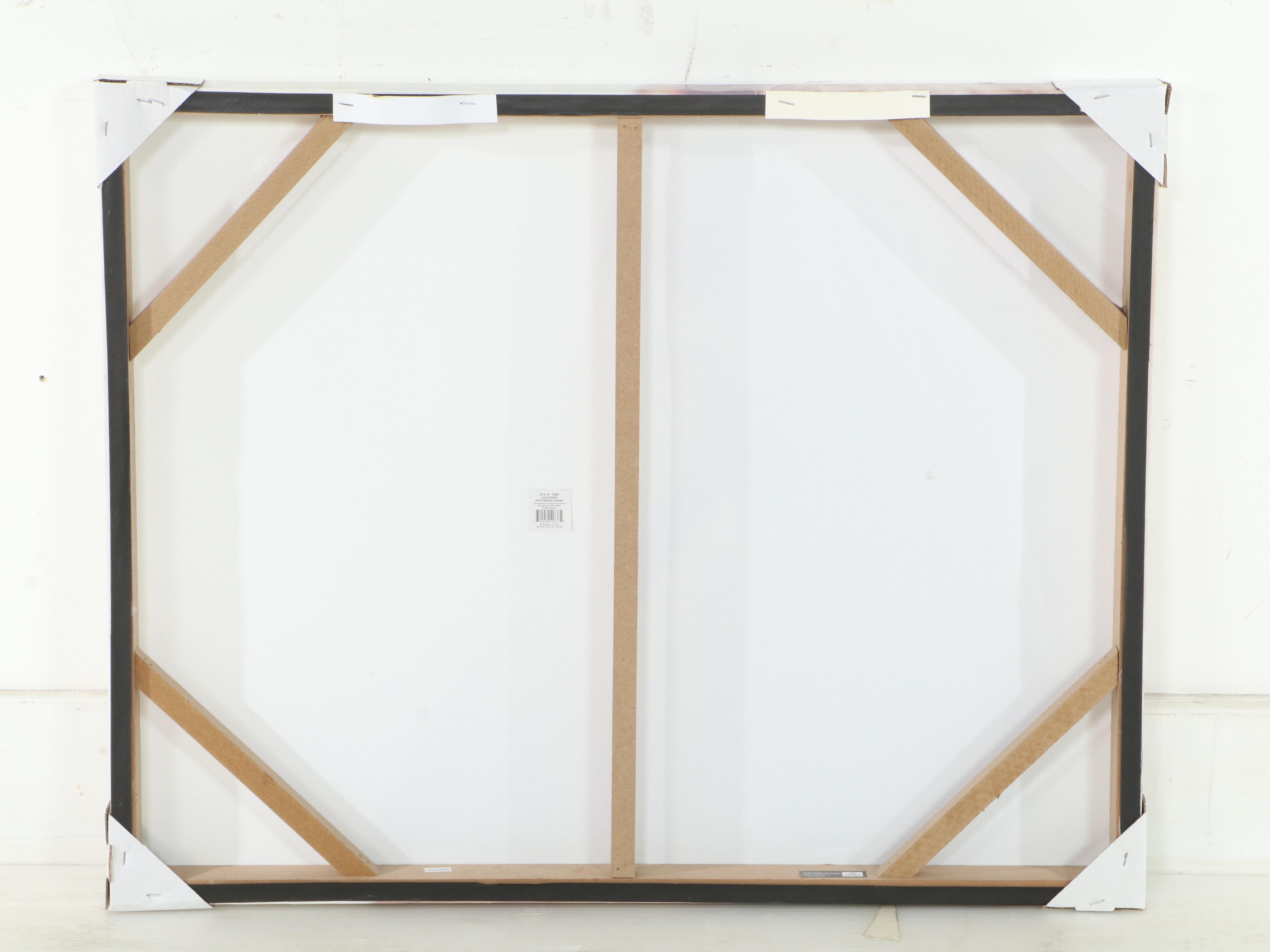 Threshold Contemporary Giclée Close-Up of Horse