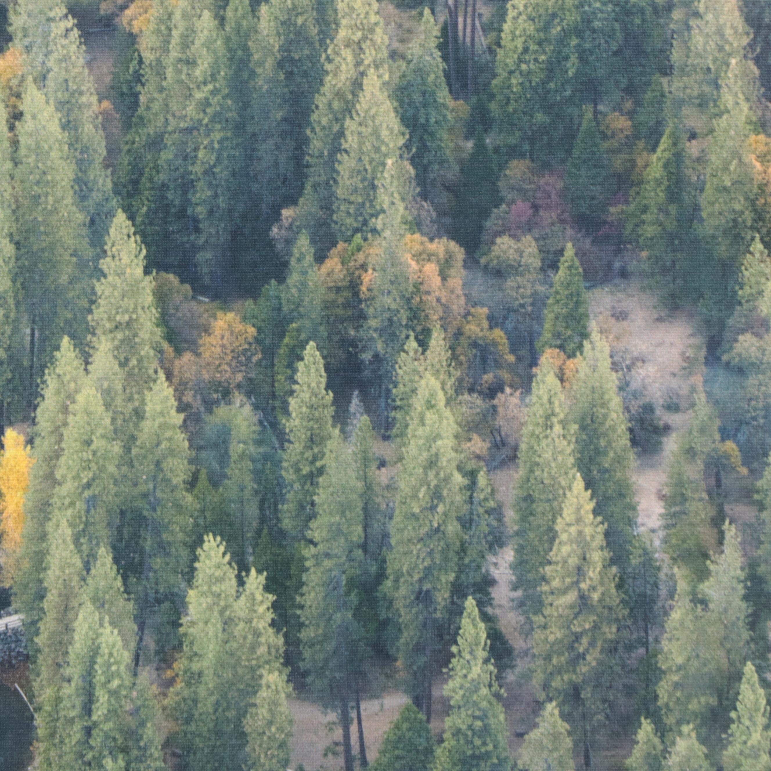 Threshold Giclée of Merced River and Yosemite Valley Landscape, 2021