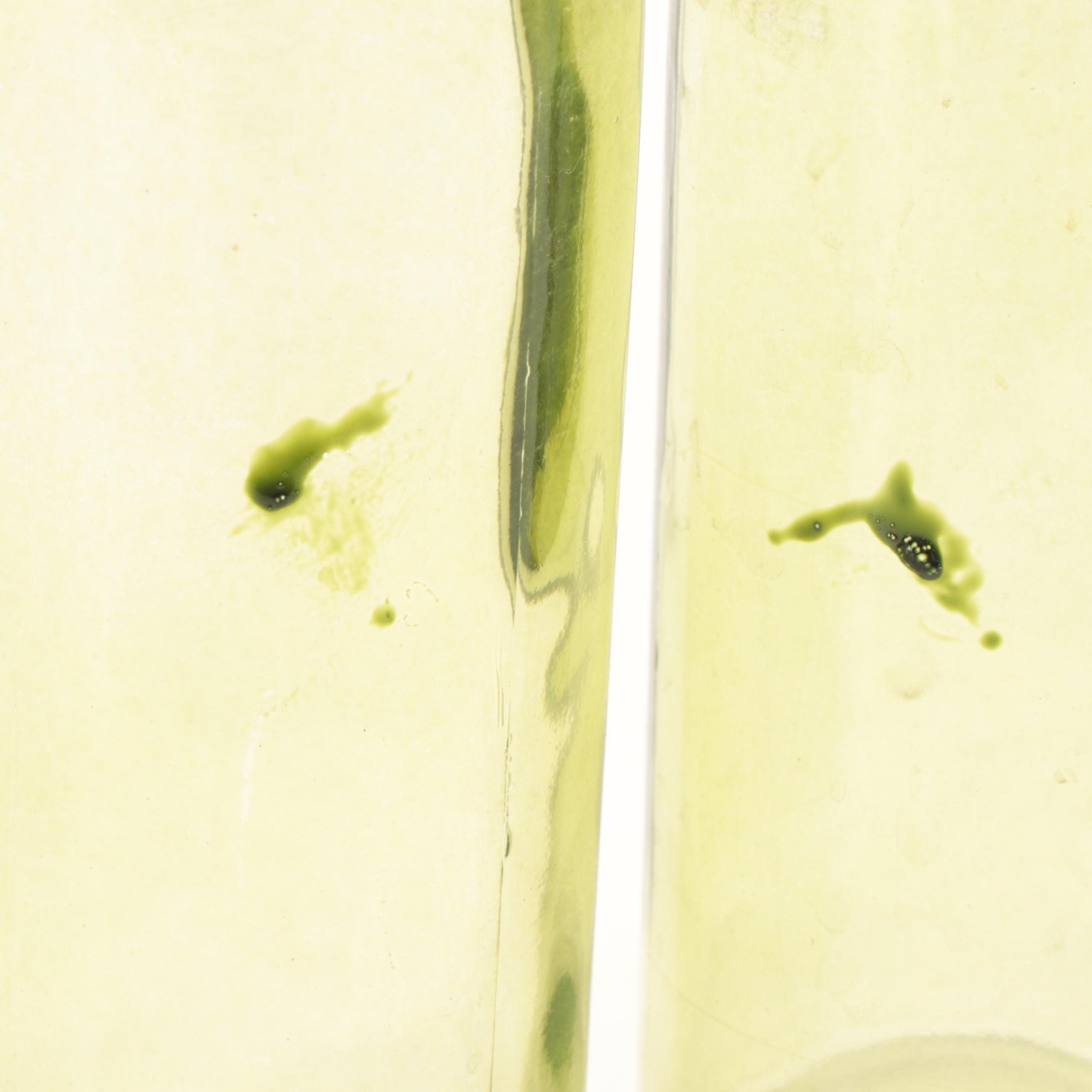 Green Molded Glass Bottle Vases