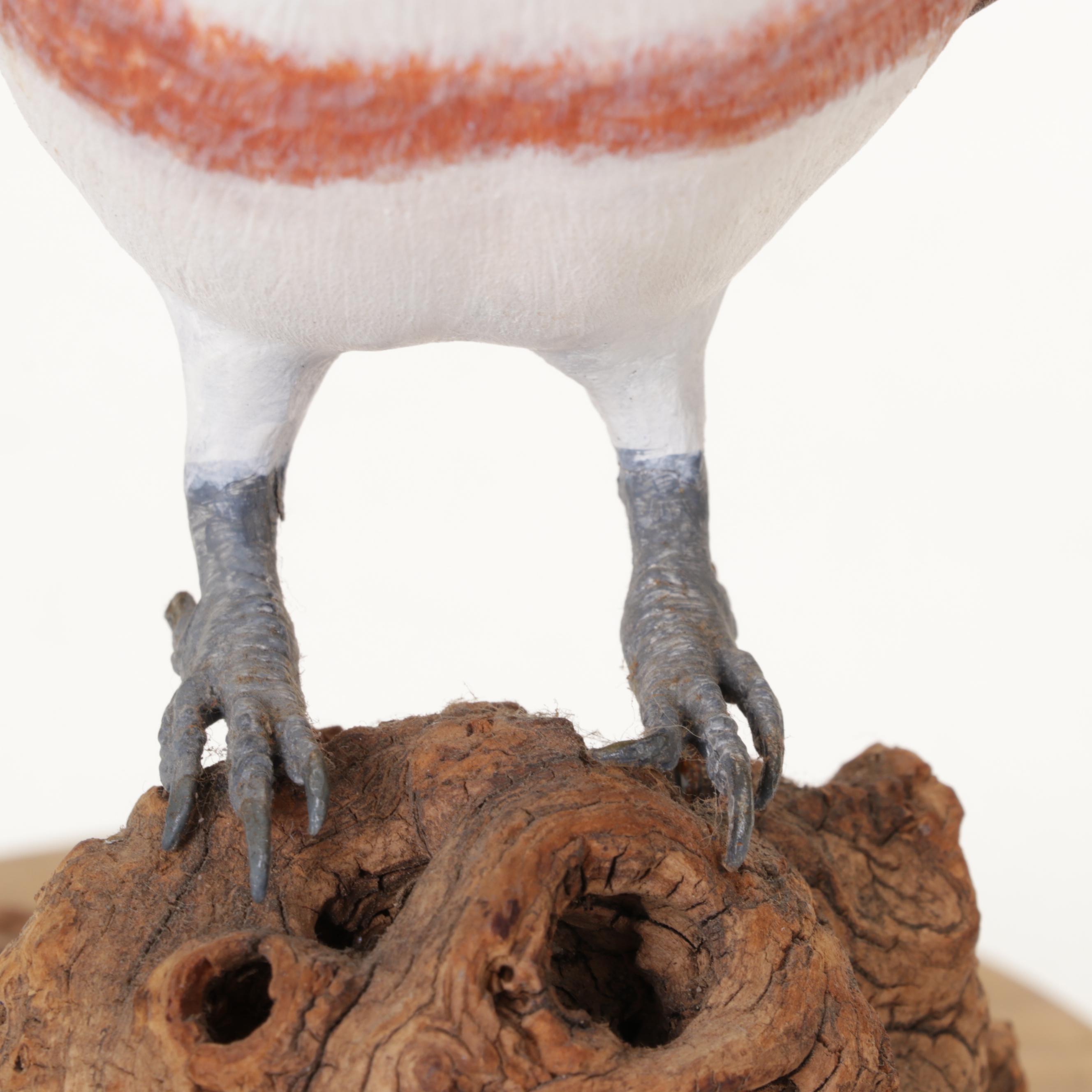 Belted Kingfisher and Red-Tailed Hawk Figurines With Wood Stands